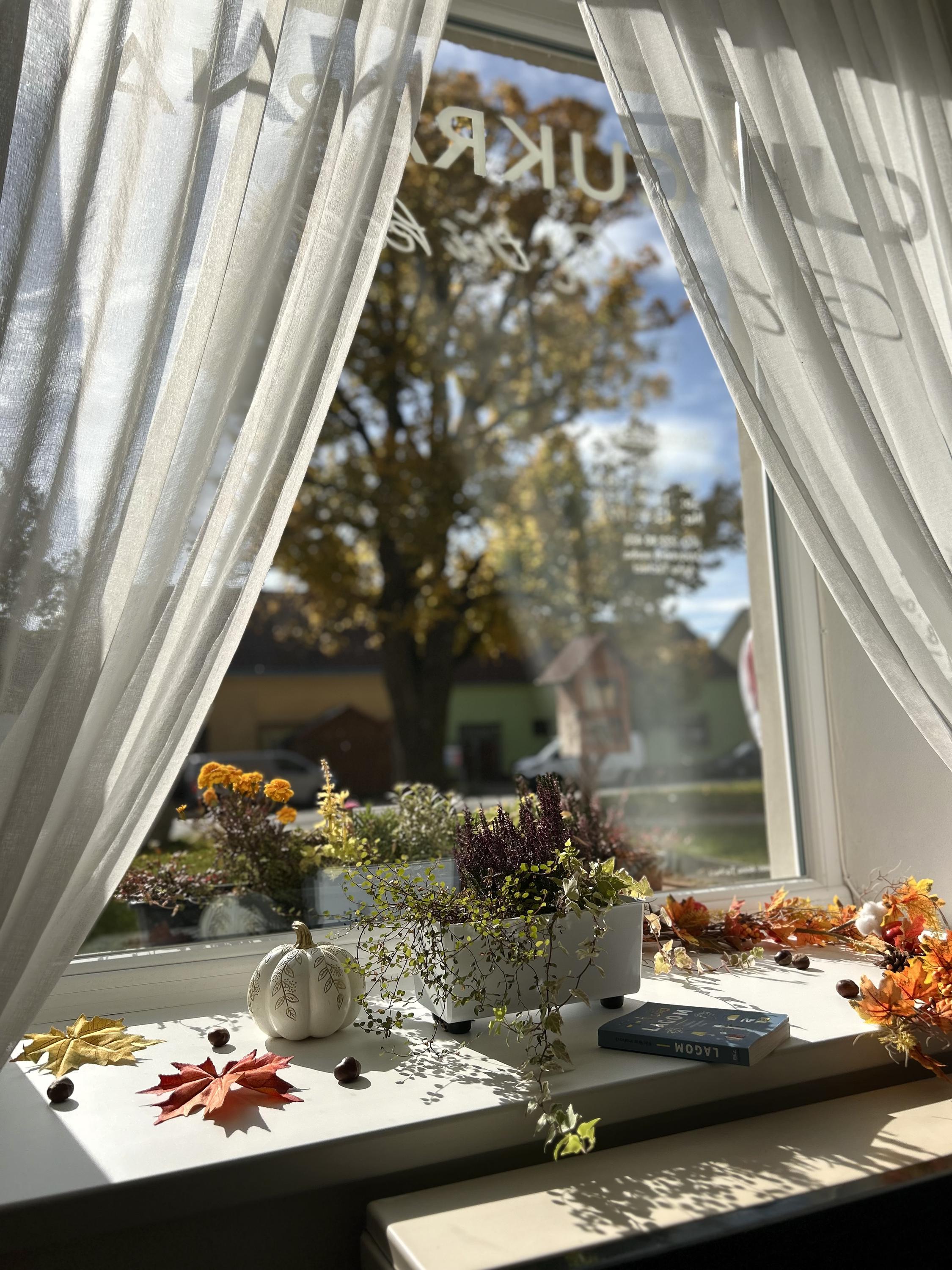 Cukrárna - kavárna U tří koček foto 6