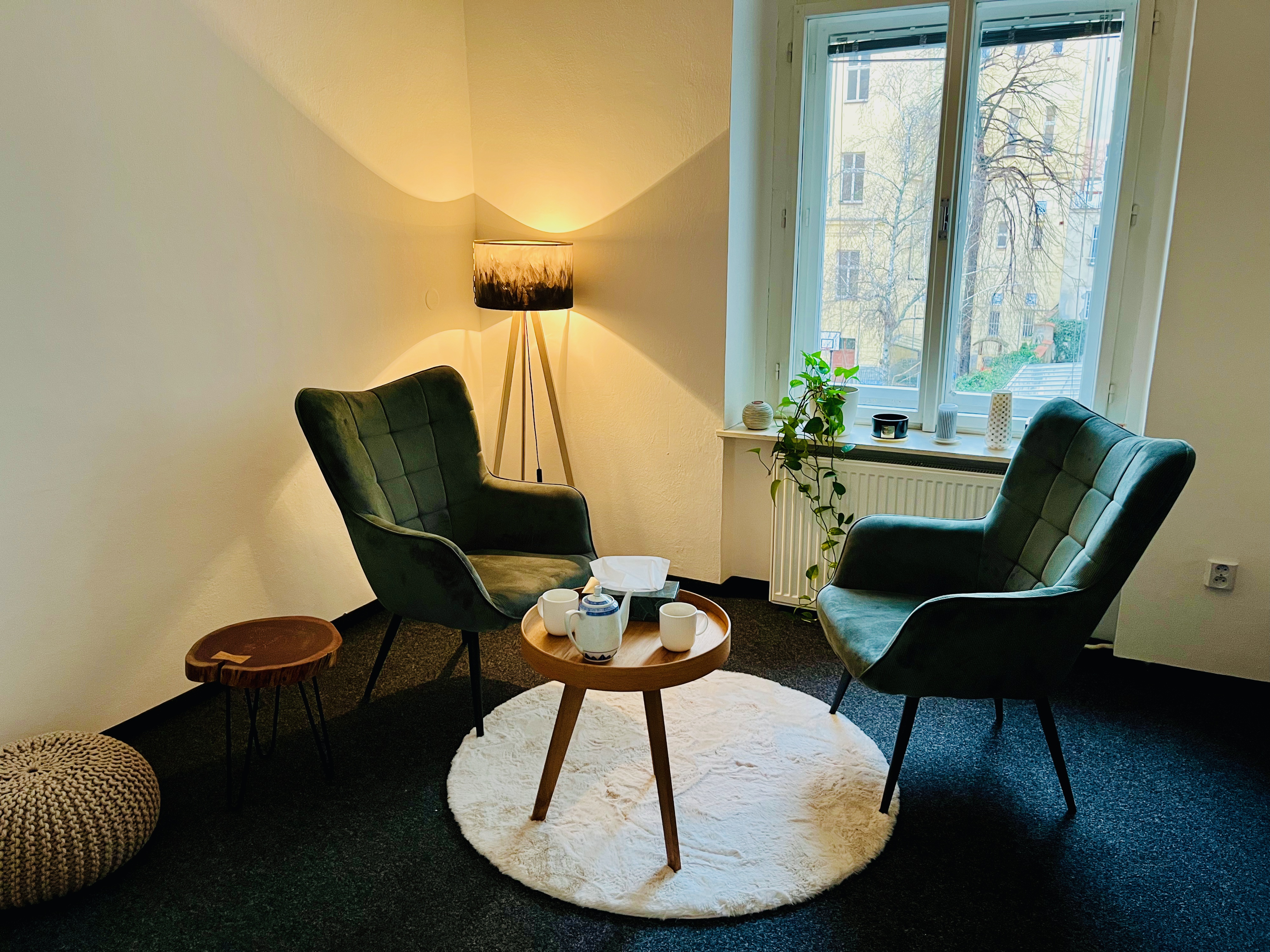 Honza Socha, terapie foto 1