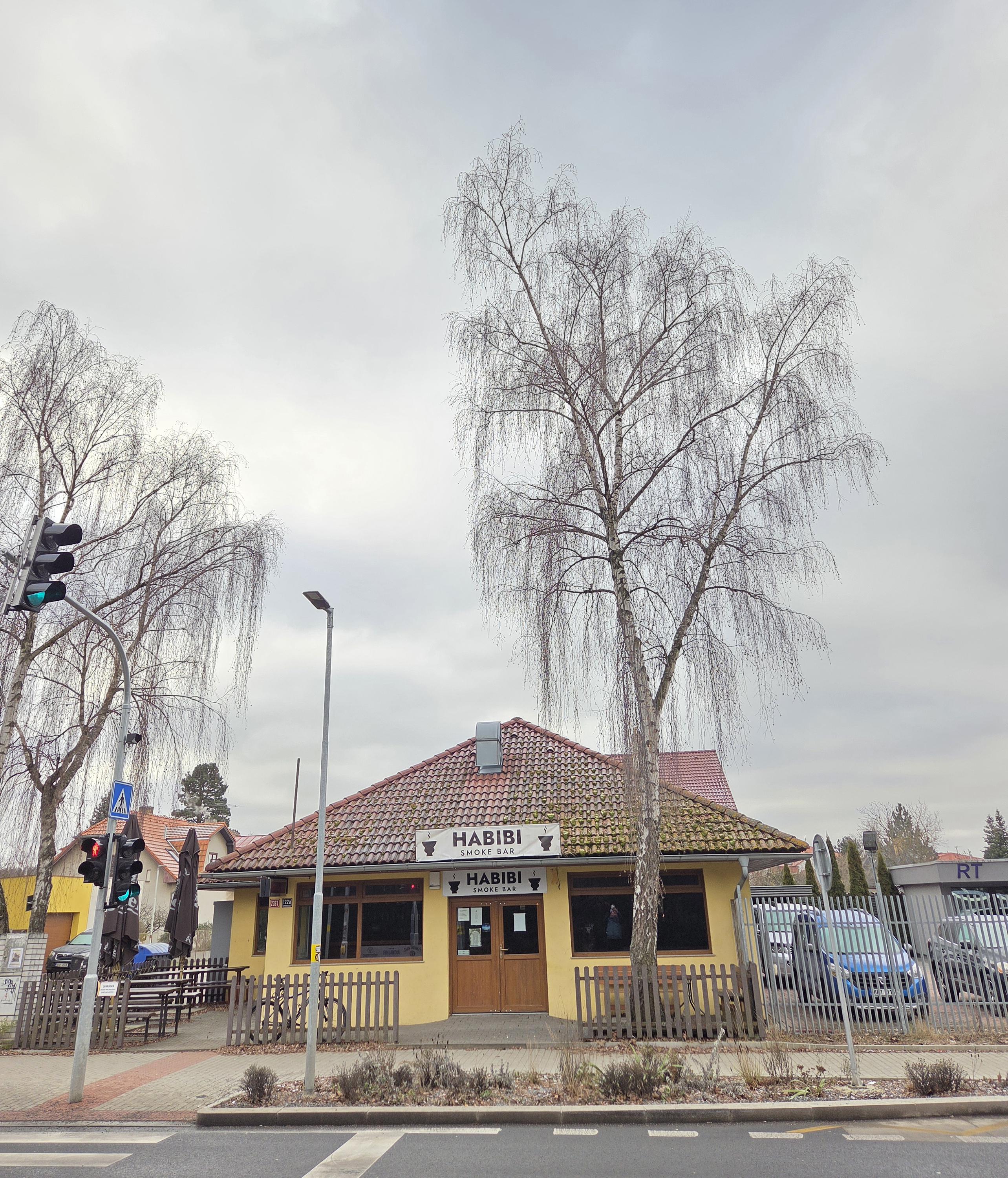 Habibi Smoke bar foto 2