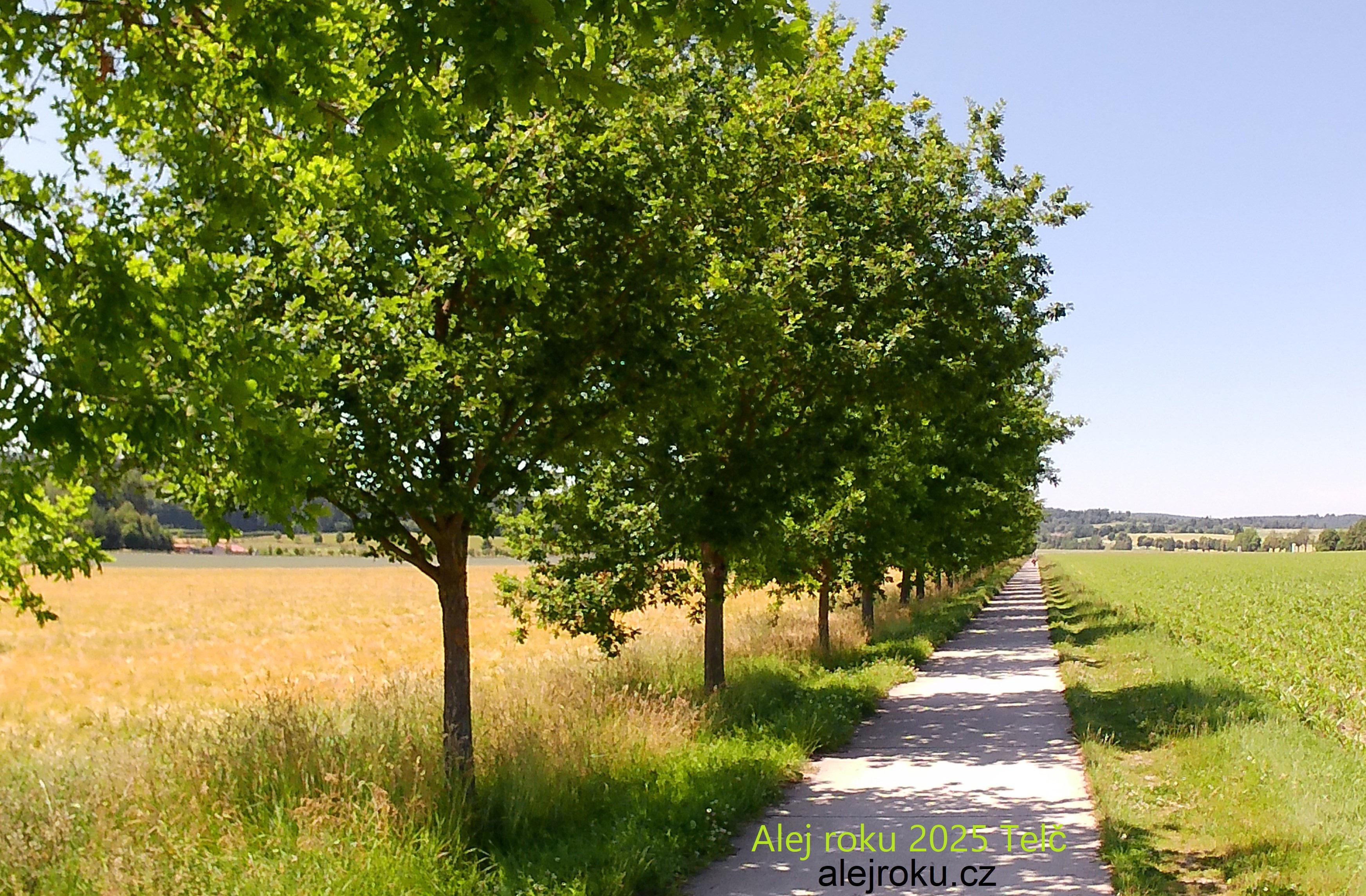 Ranč Telč foto 4