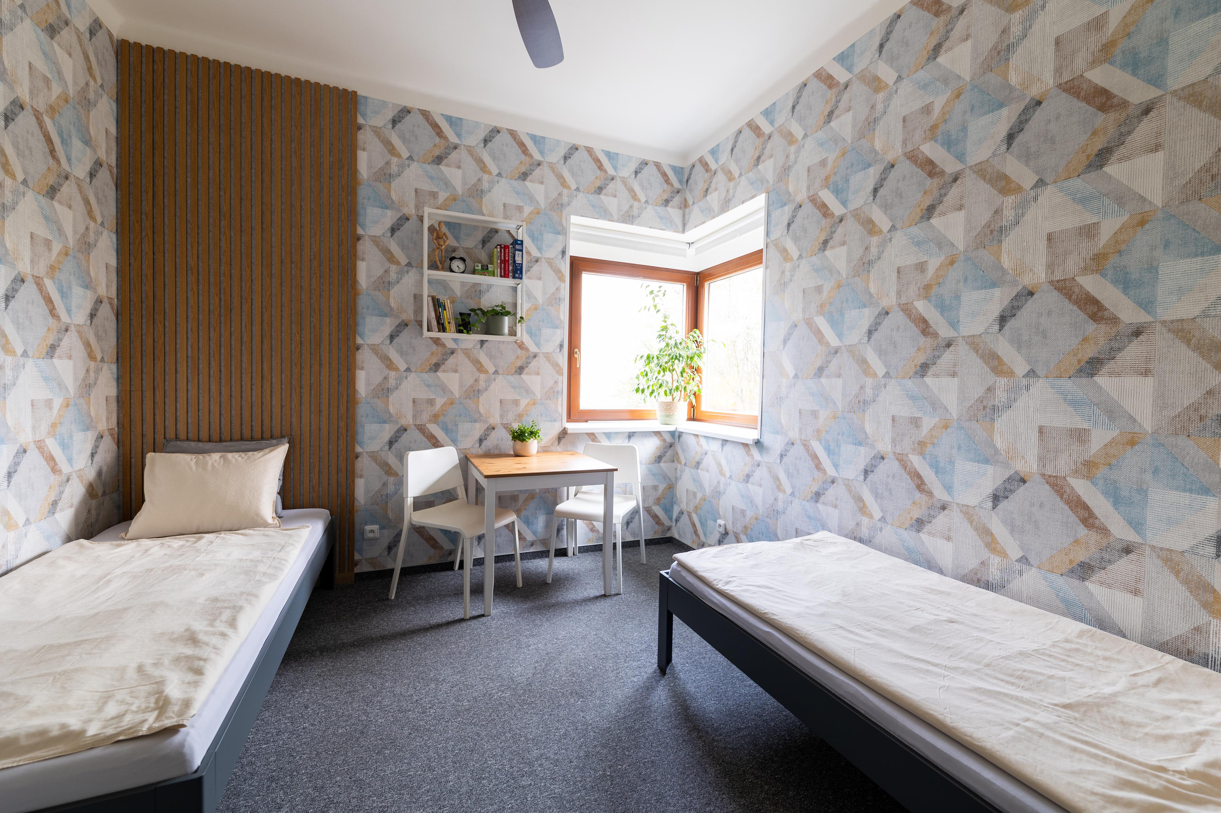 Vousatá Dáma - ubytování foto 3