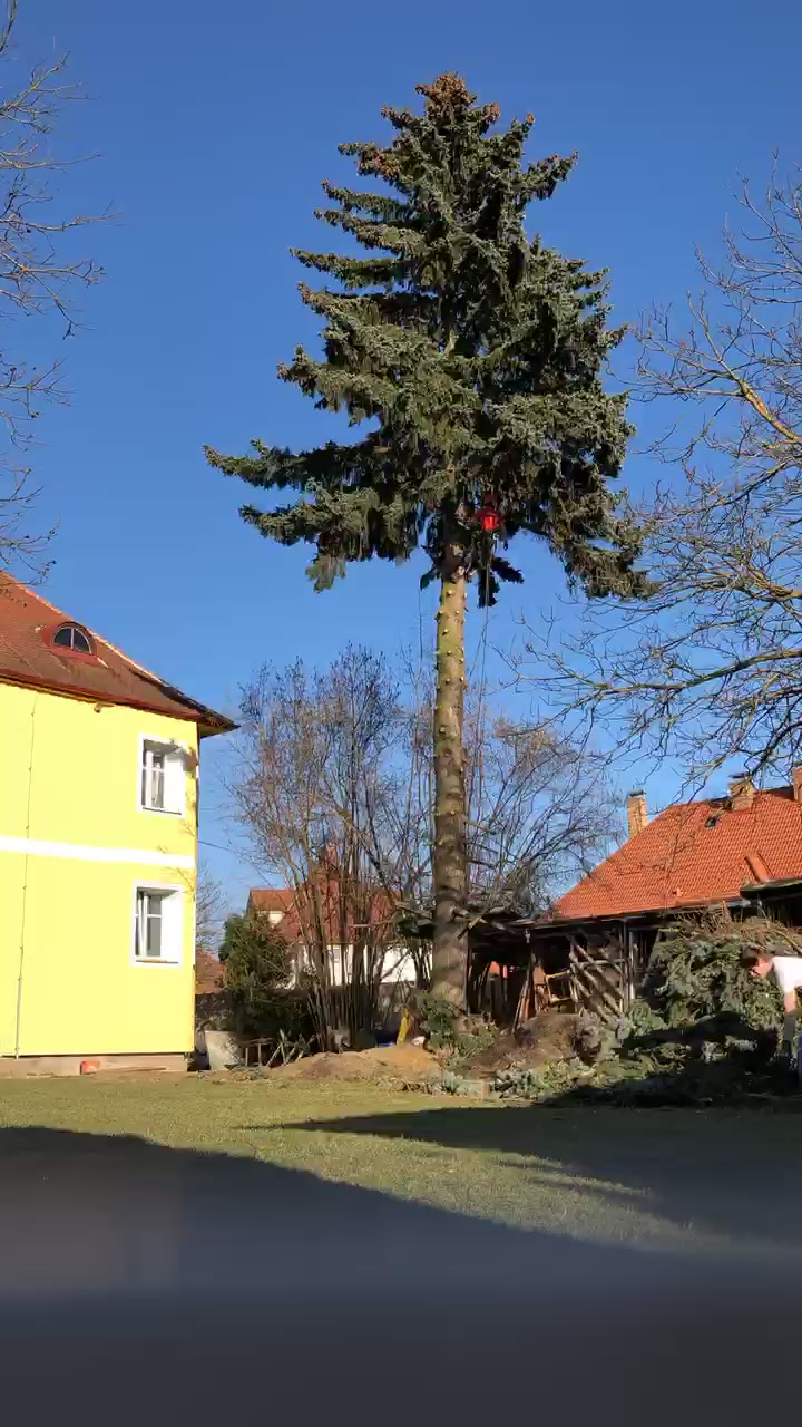 Tomáš Duchoň | Stromolezec.eu foto 2 (náhled videa)