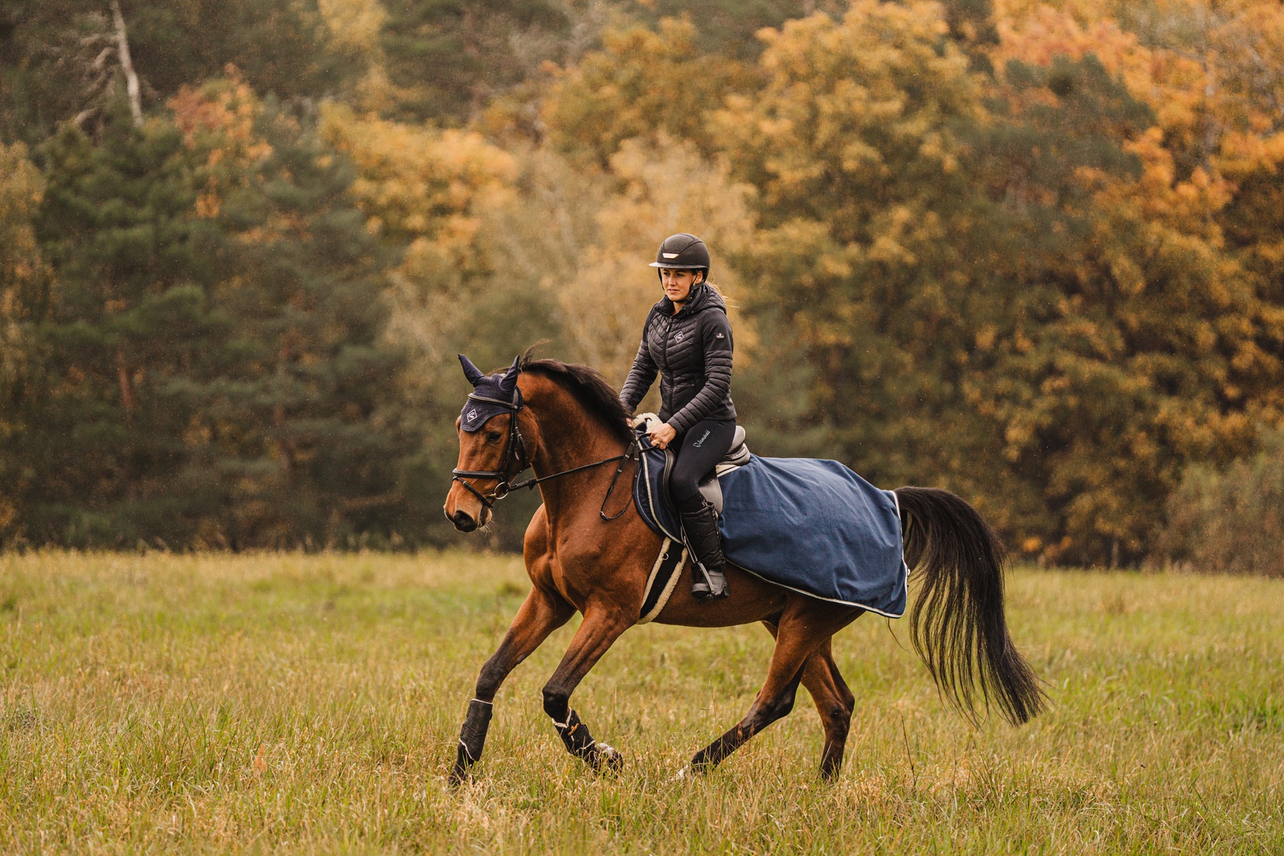 Equiservis spol. s r.o. foto 3