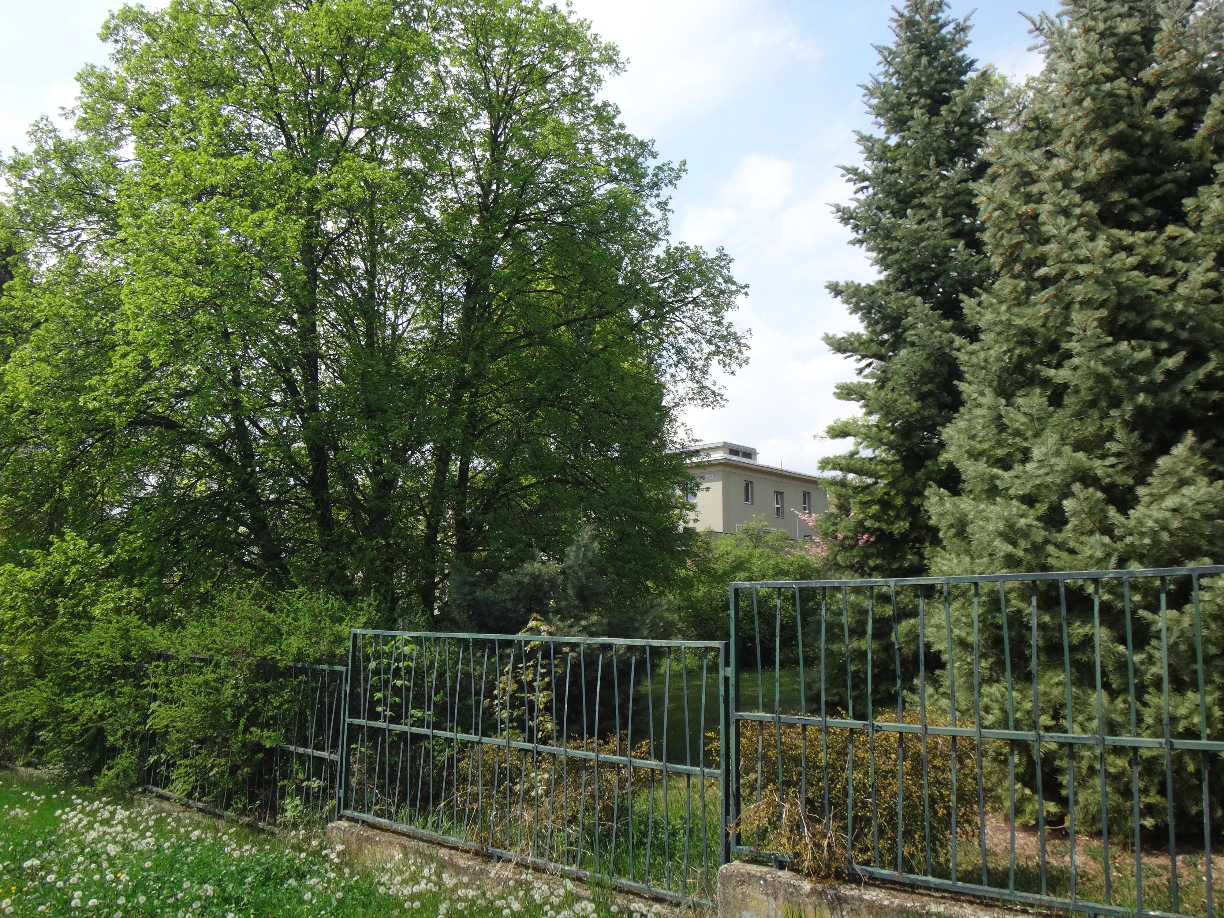 Biofyzikální ústav AV ČR, v.v.i. foto 2