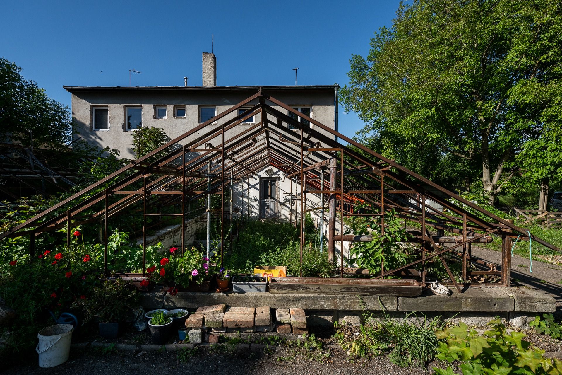 Zahrada ve městě - komunitní zahrada