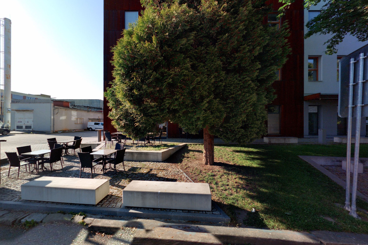 Dentální hygiena Bc. Soňa Jirmásková, DiS.