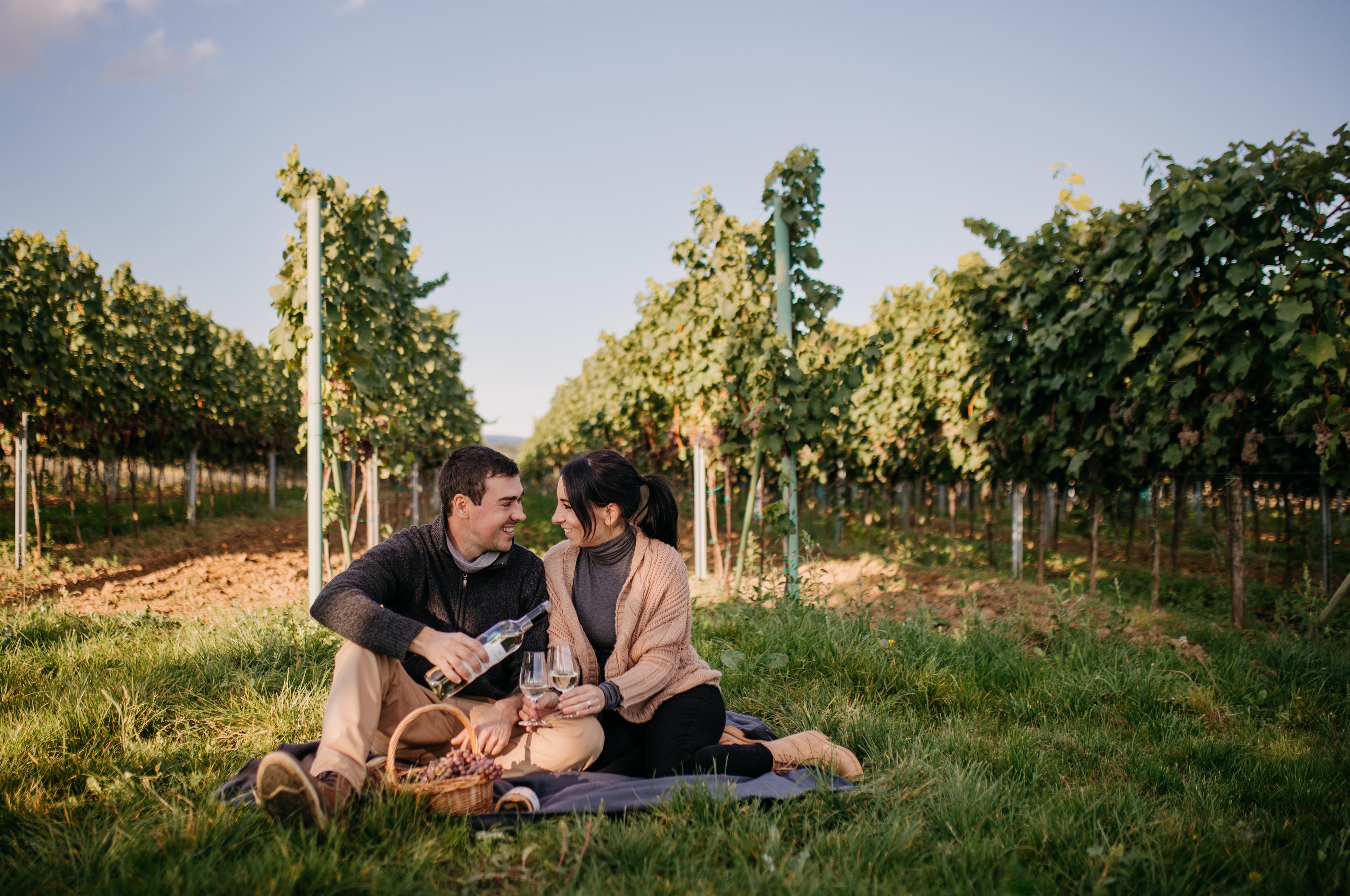 Vinný sklep Vinařství Holakovský