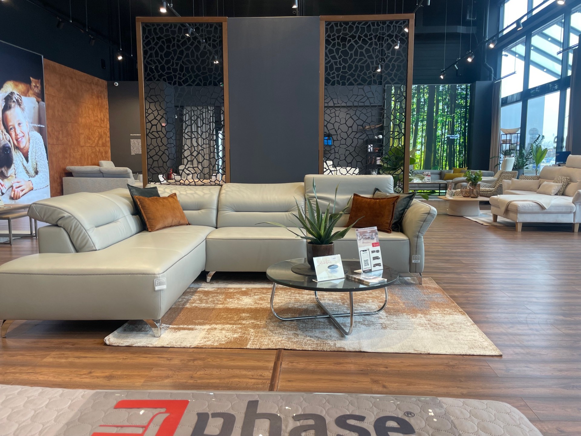 Phase foto 5