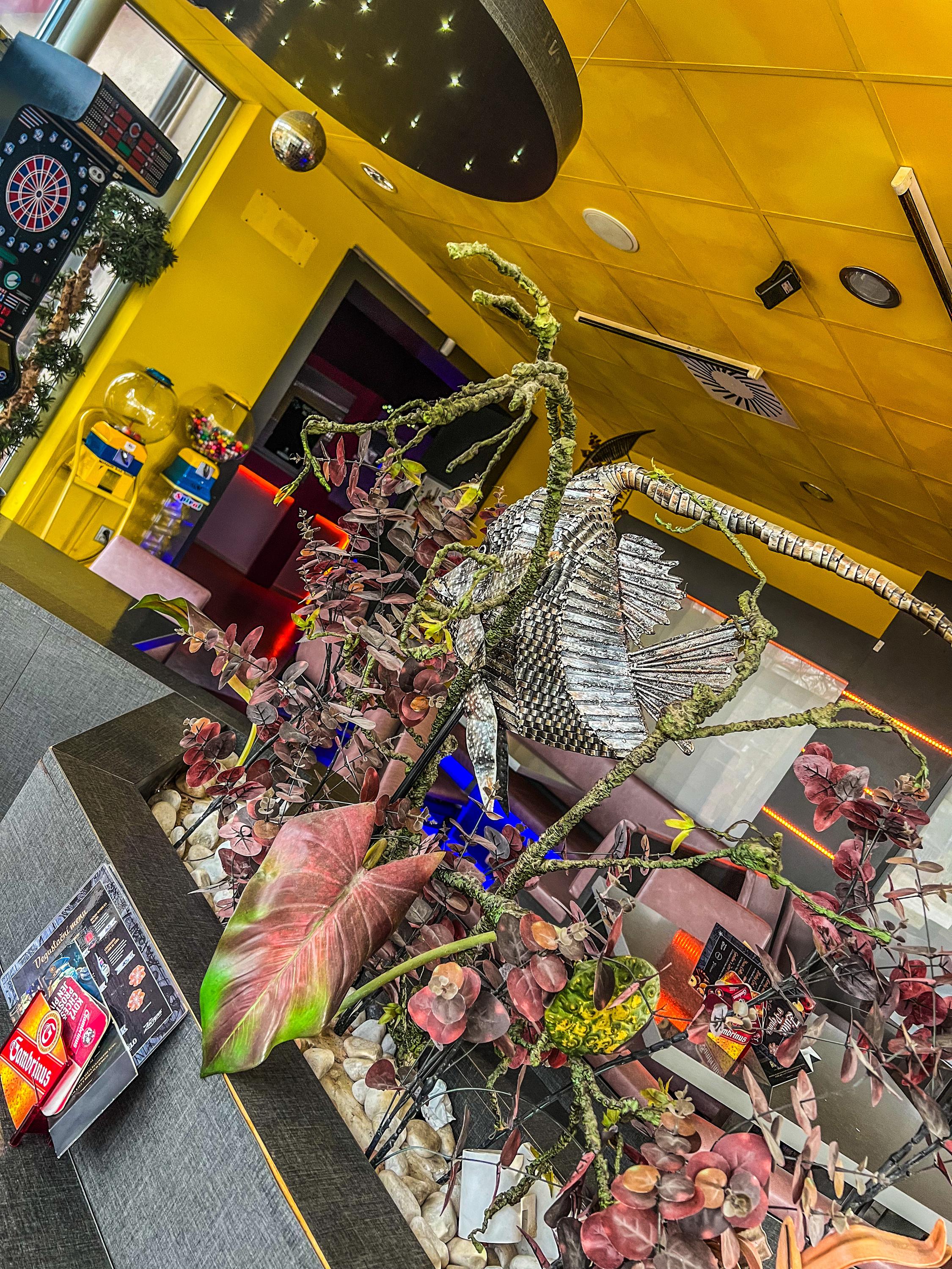 Klub Pepino bowling foto 5