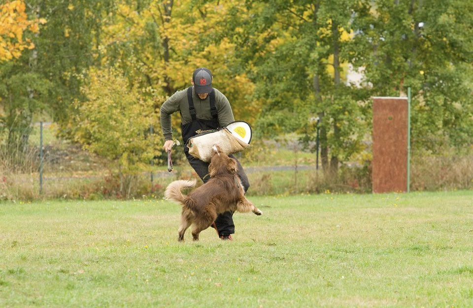 ZKO 438 Karlovy Vary - Stará Role