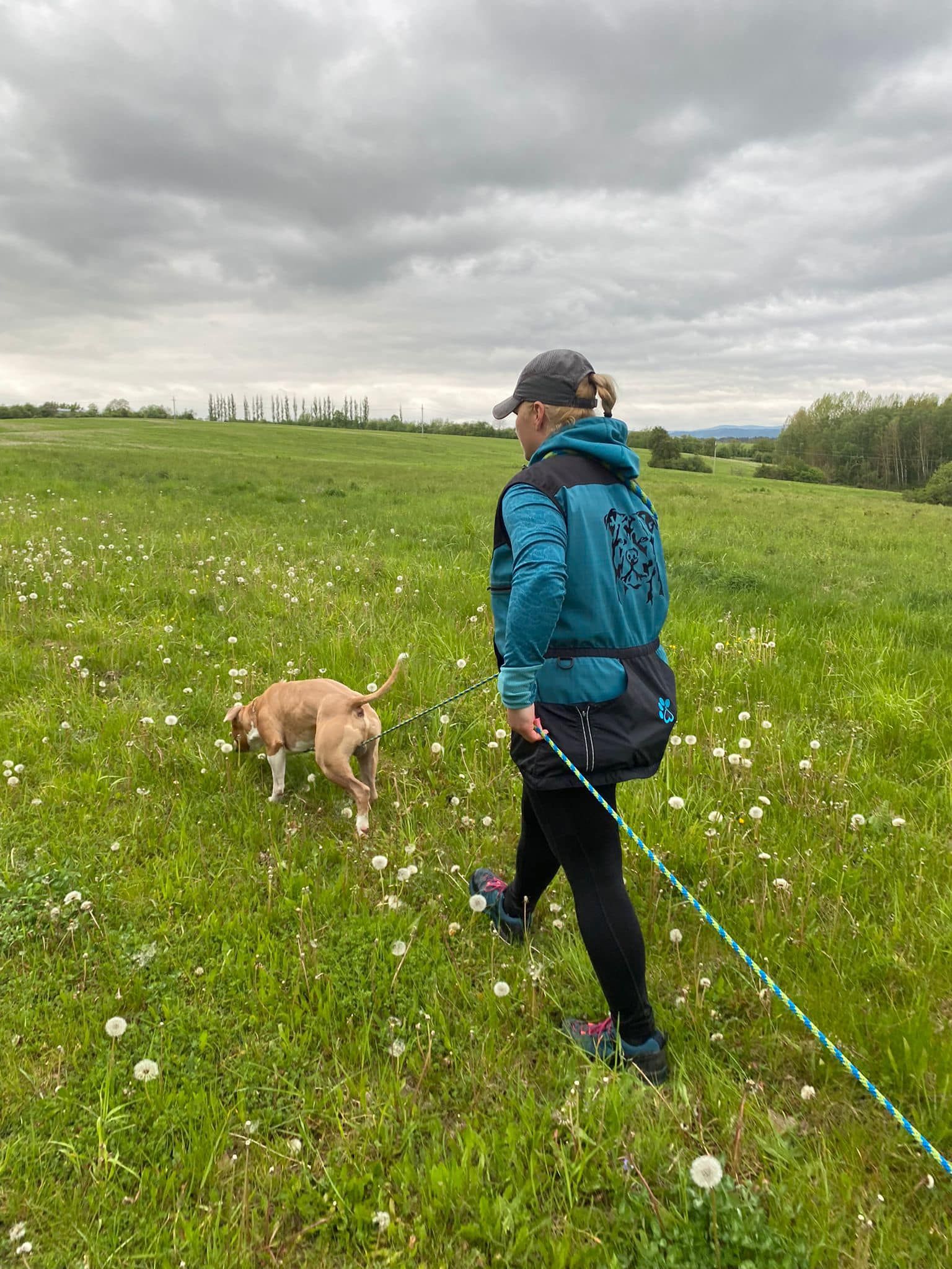 ZKO 438 Karlovy Vary - Stará Role foto 5