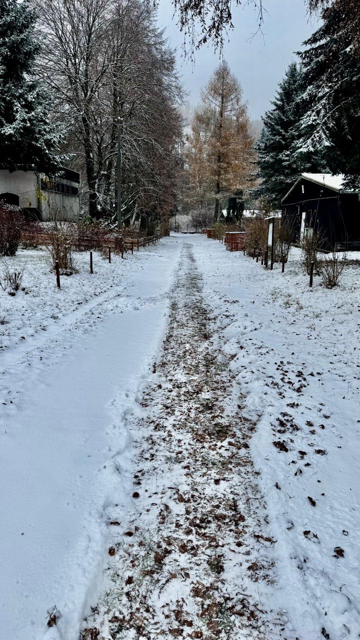 Quiet Anomaly Glamping foto 6