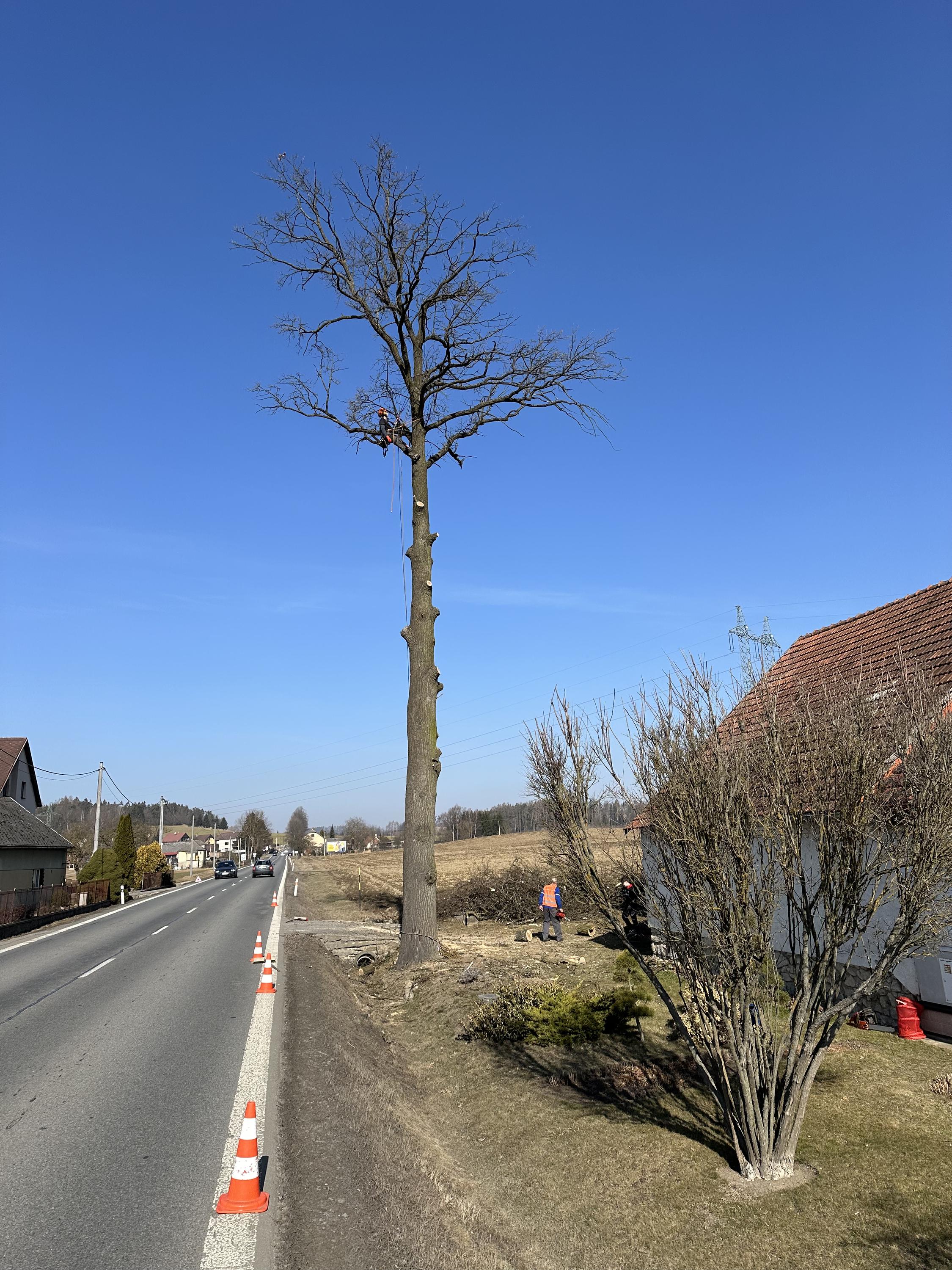 Tomáš Duchoň | Stromolezec.eu foto 4
