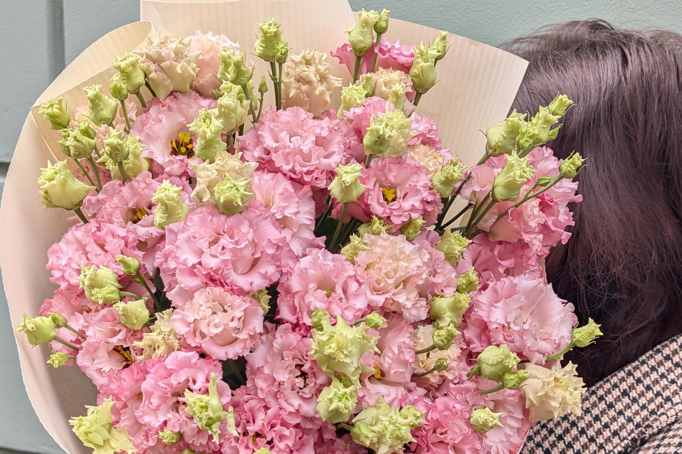 Shelest – květinářství Chomutov