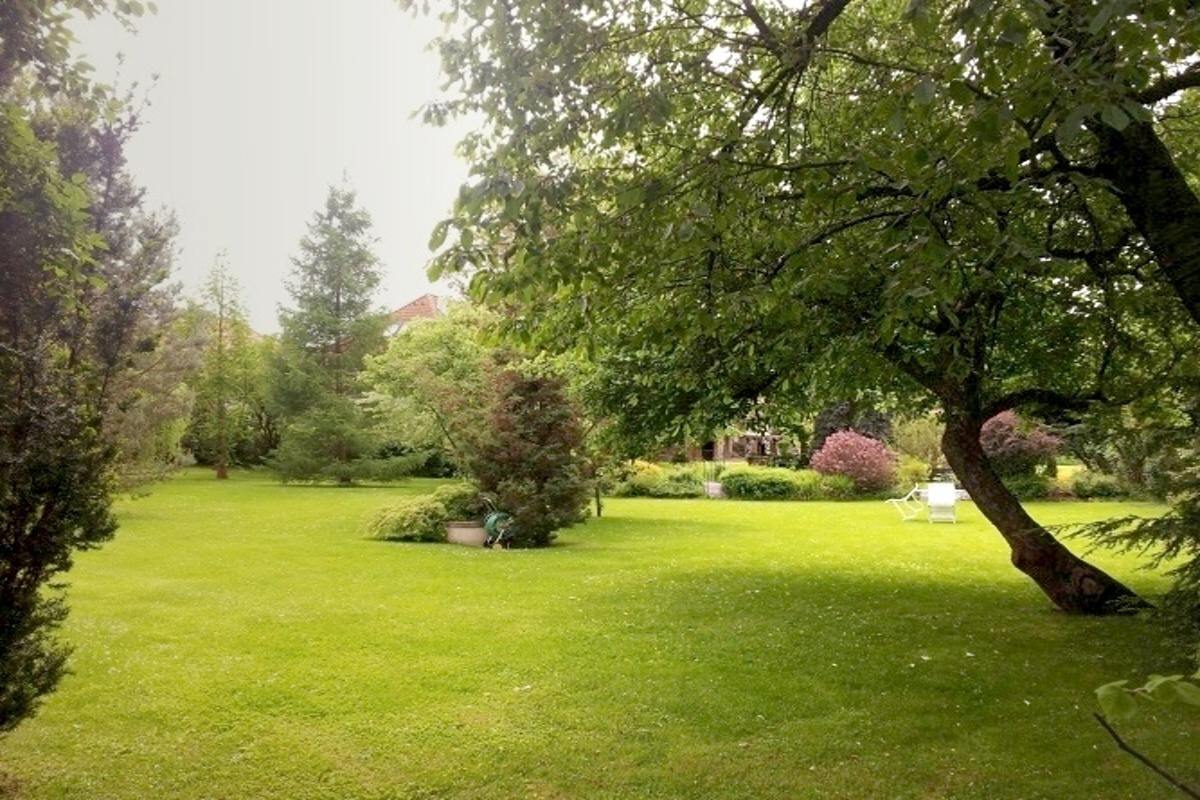 Realizace a údržba zahrad MgA. Jan Tesař