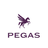 logo PEGAS CZ
