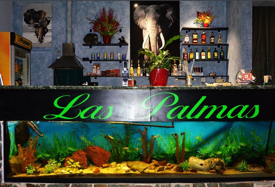 LAS PALMAS foto 1
