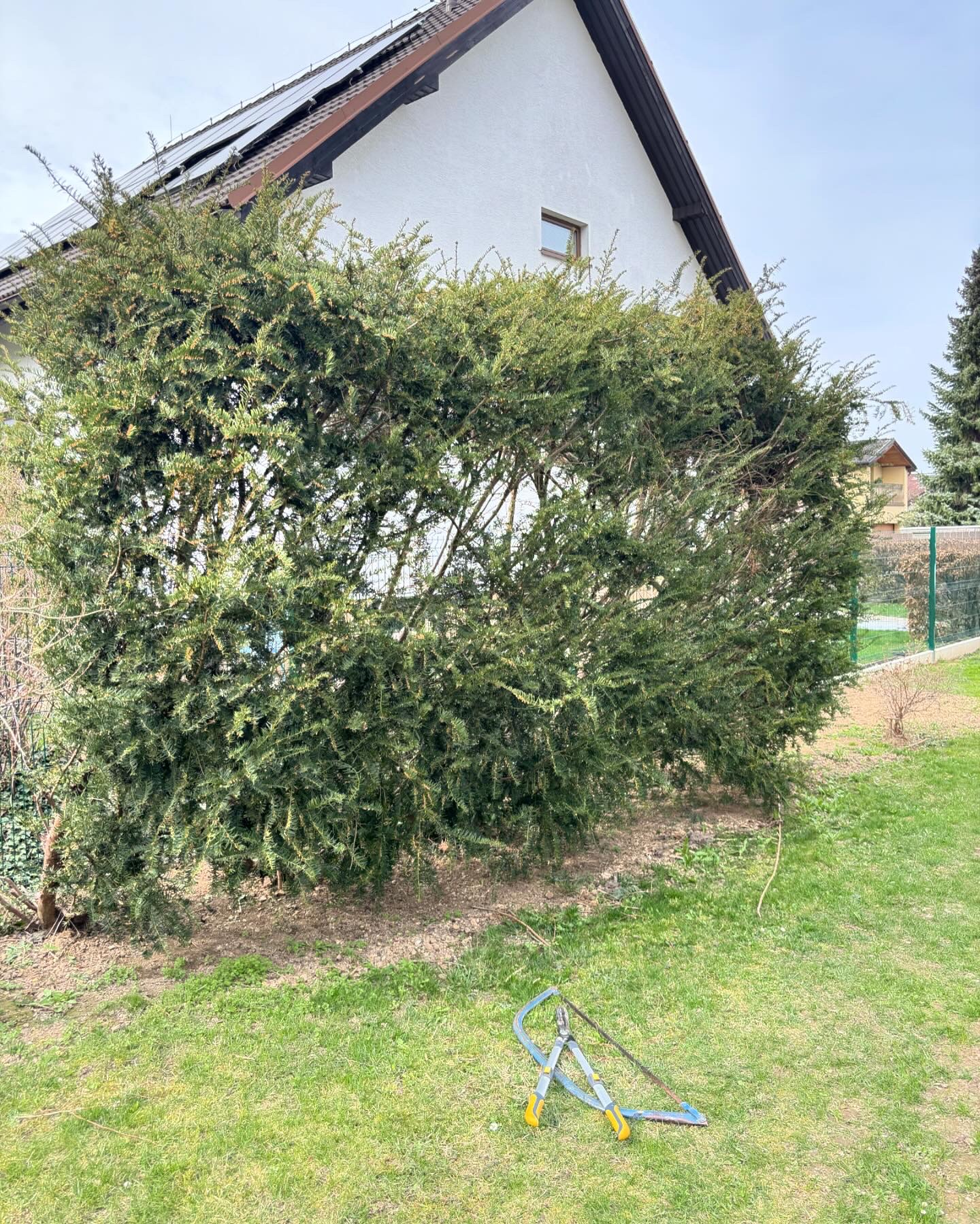 Zahradní Kuna foto 2