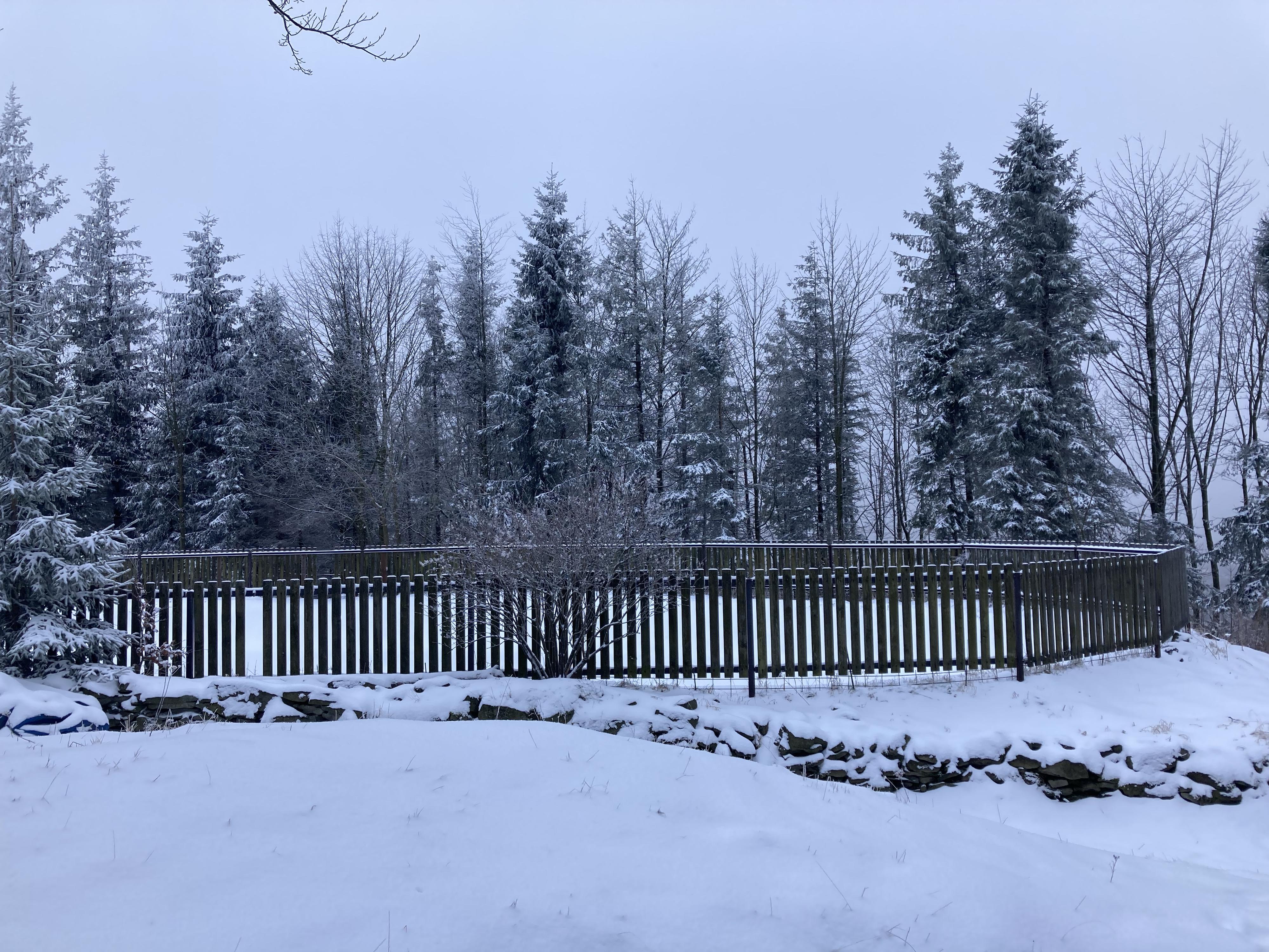 Lyžařský areál Javorový Vrch foto 4