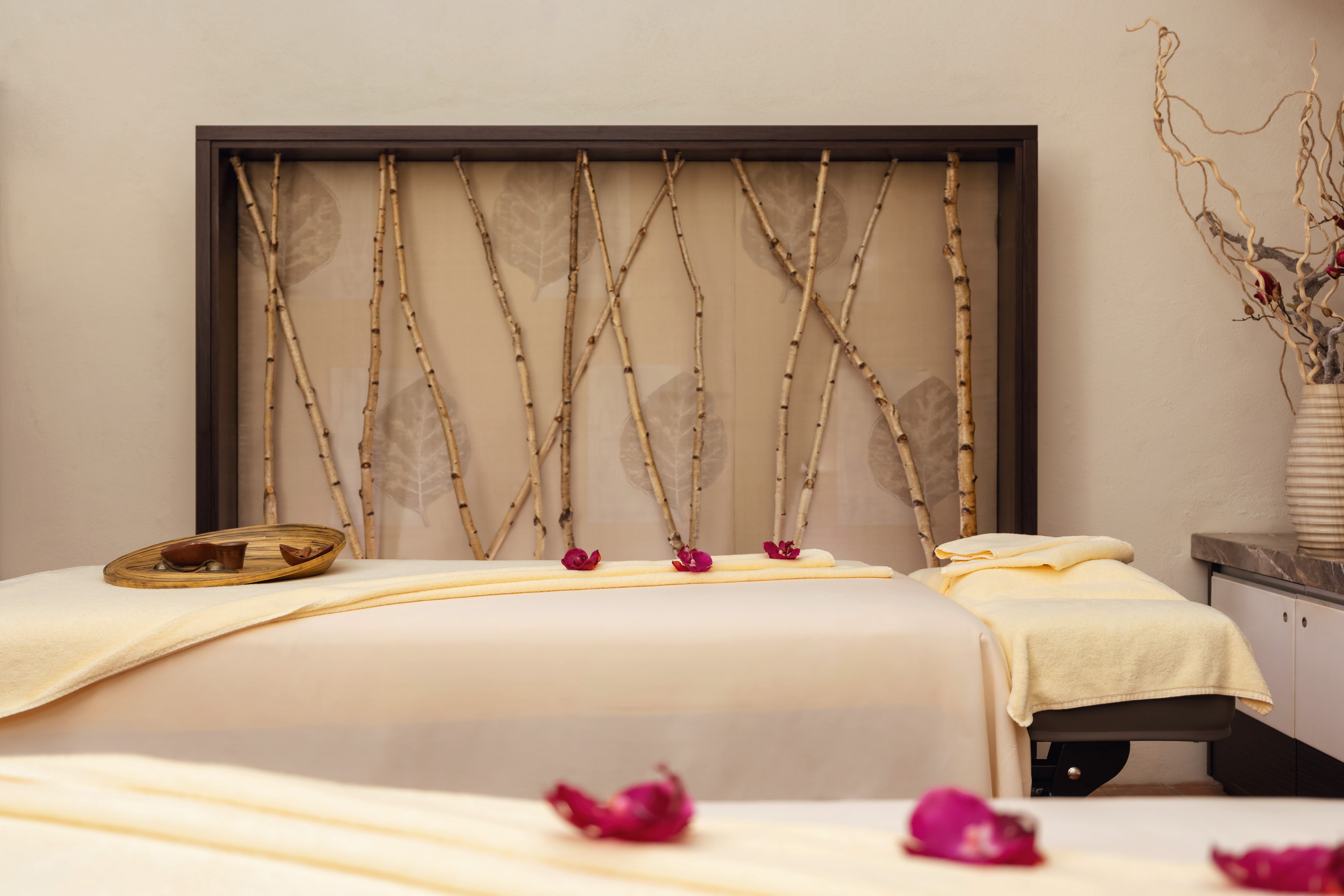 The Spa at Mandarin Oriental Prague foto 3