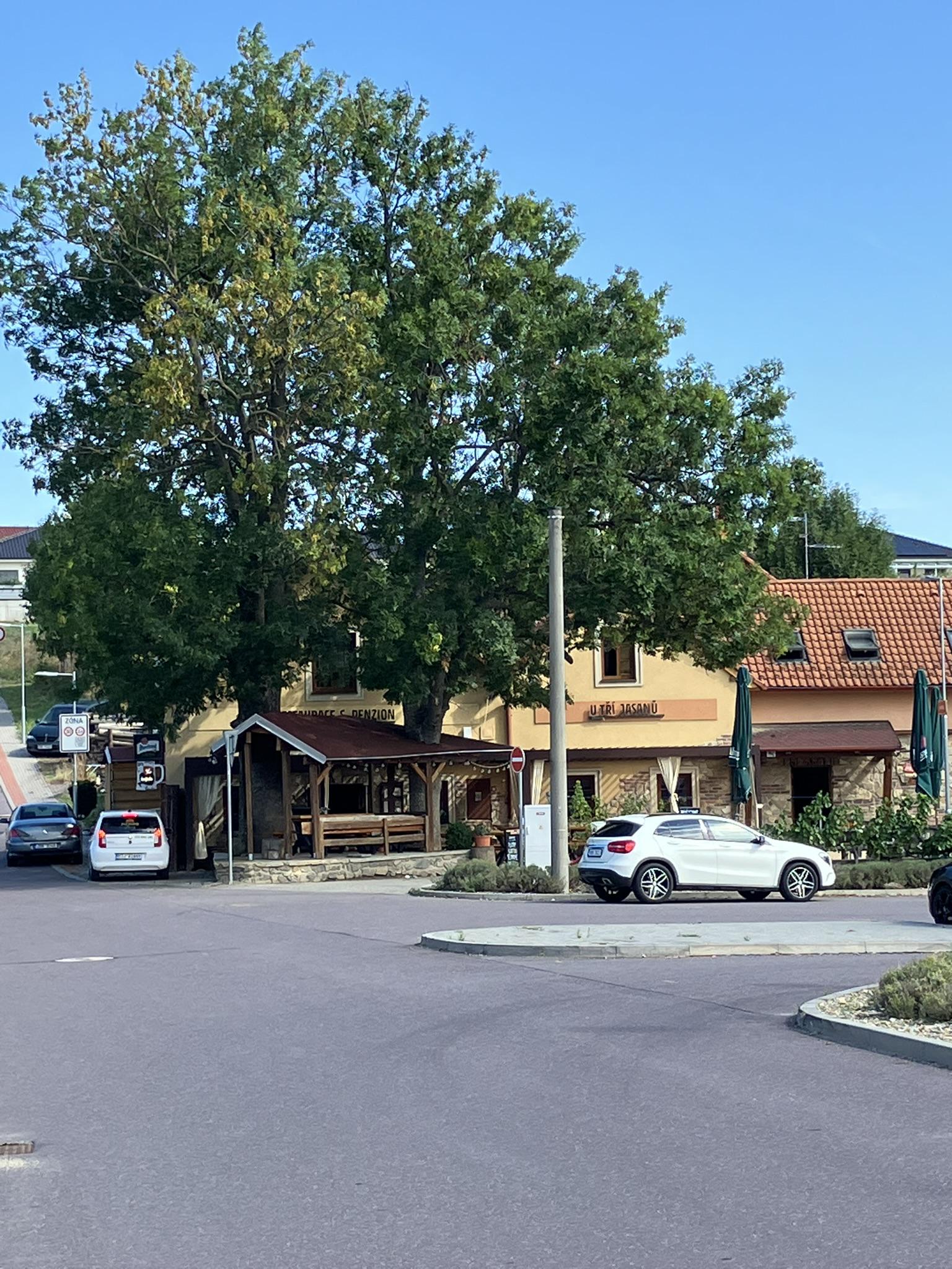 Restaurace U Tří jasanů foto 5