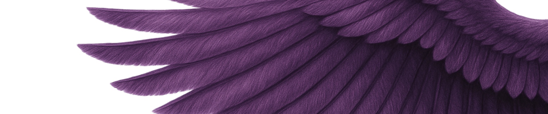 Cover image PEGAS CZ