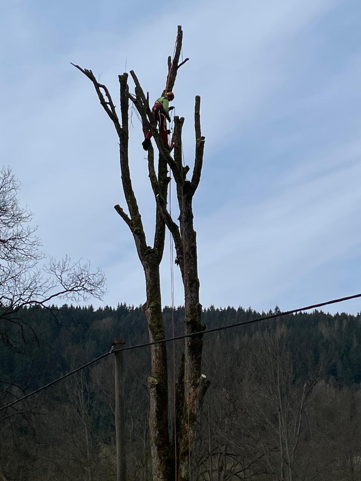Zbyněk Novotka foto 3