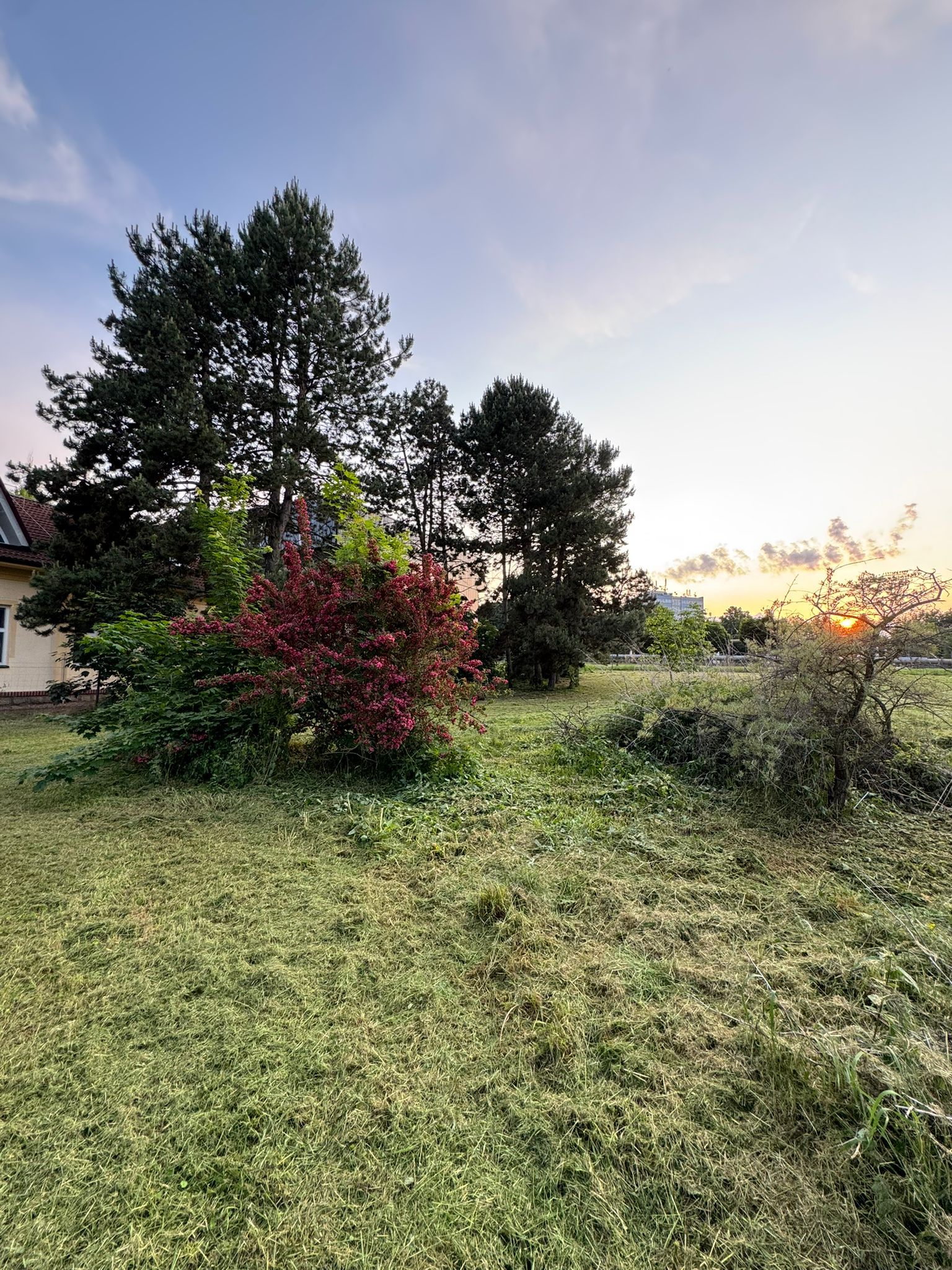 Zahrada ve městě - komunitní zahrada foto 4