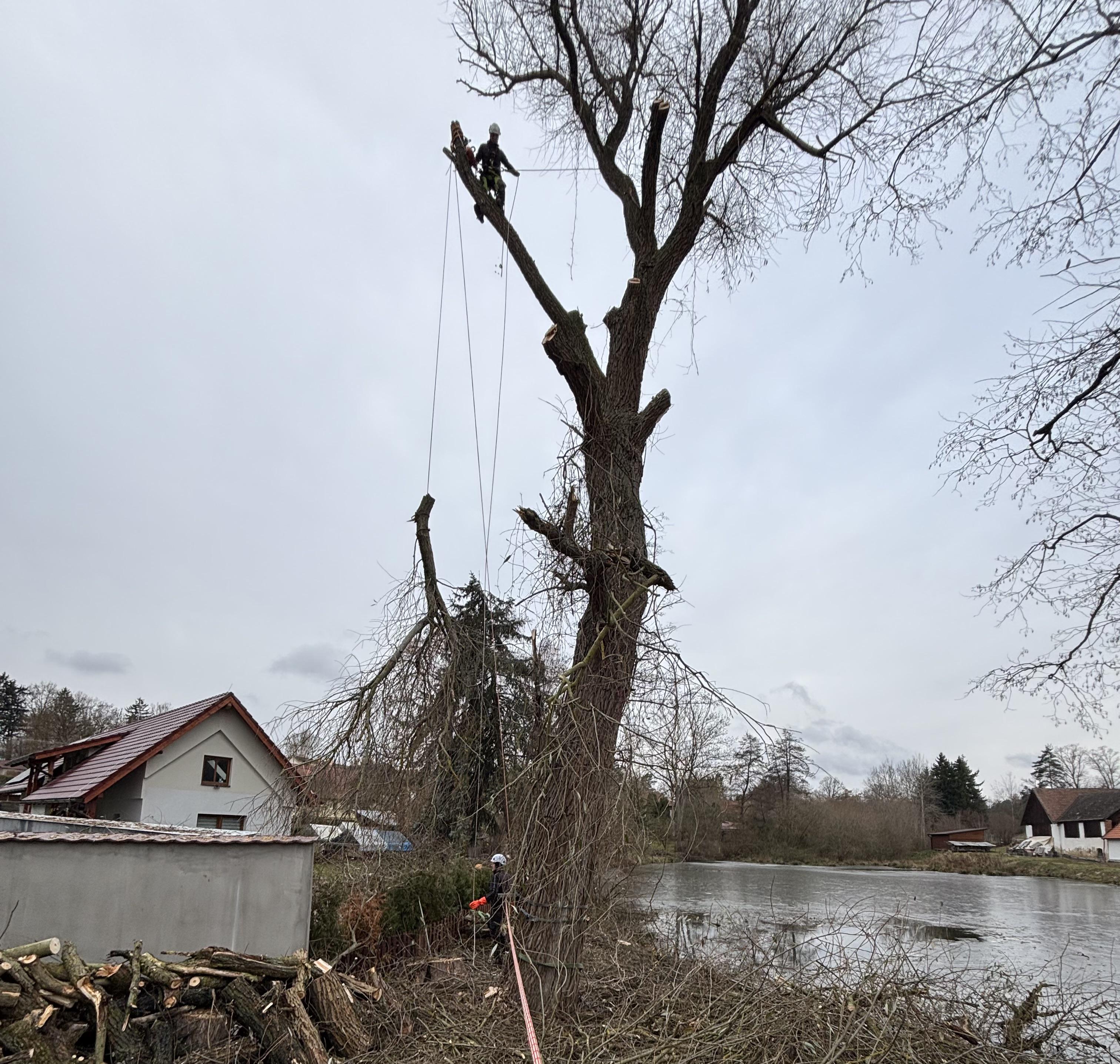 Rizikové kácení & výškové práce Dušek foto 2