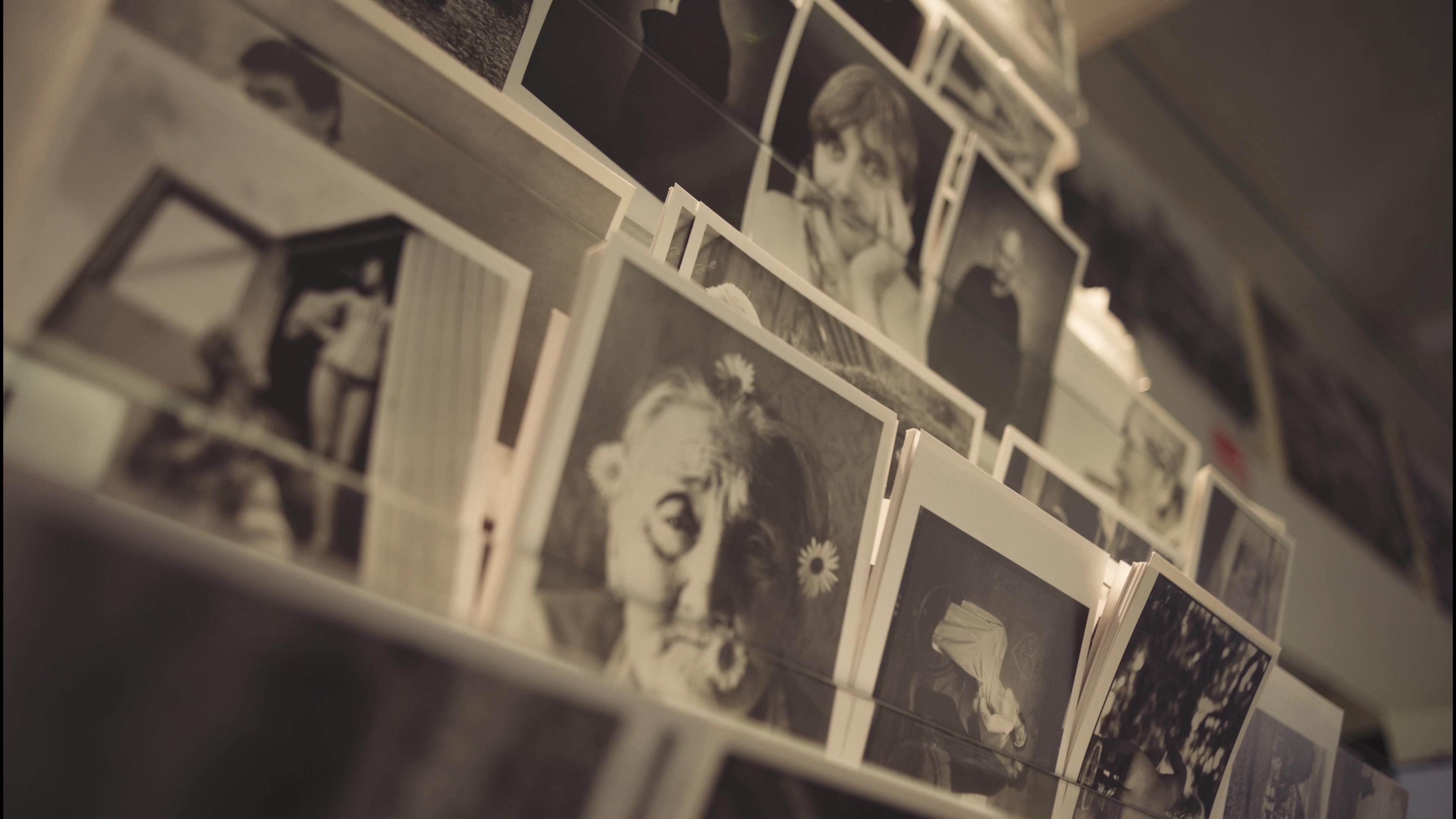 FotoŠkoda foto 2 (náhled videa)