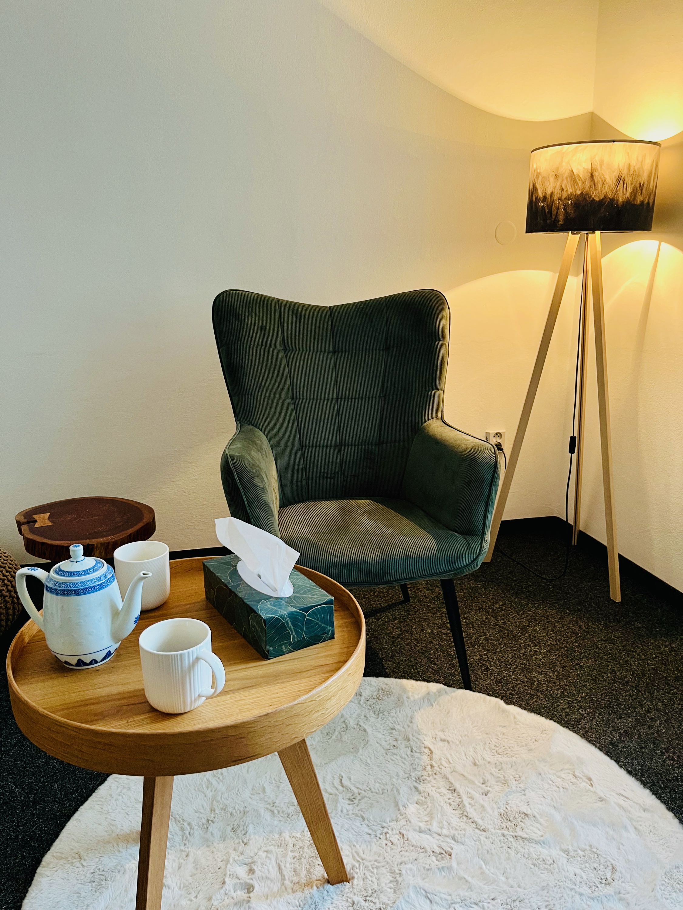 Honza Socha, terapie foto 2