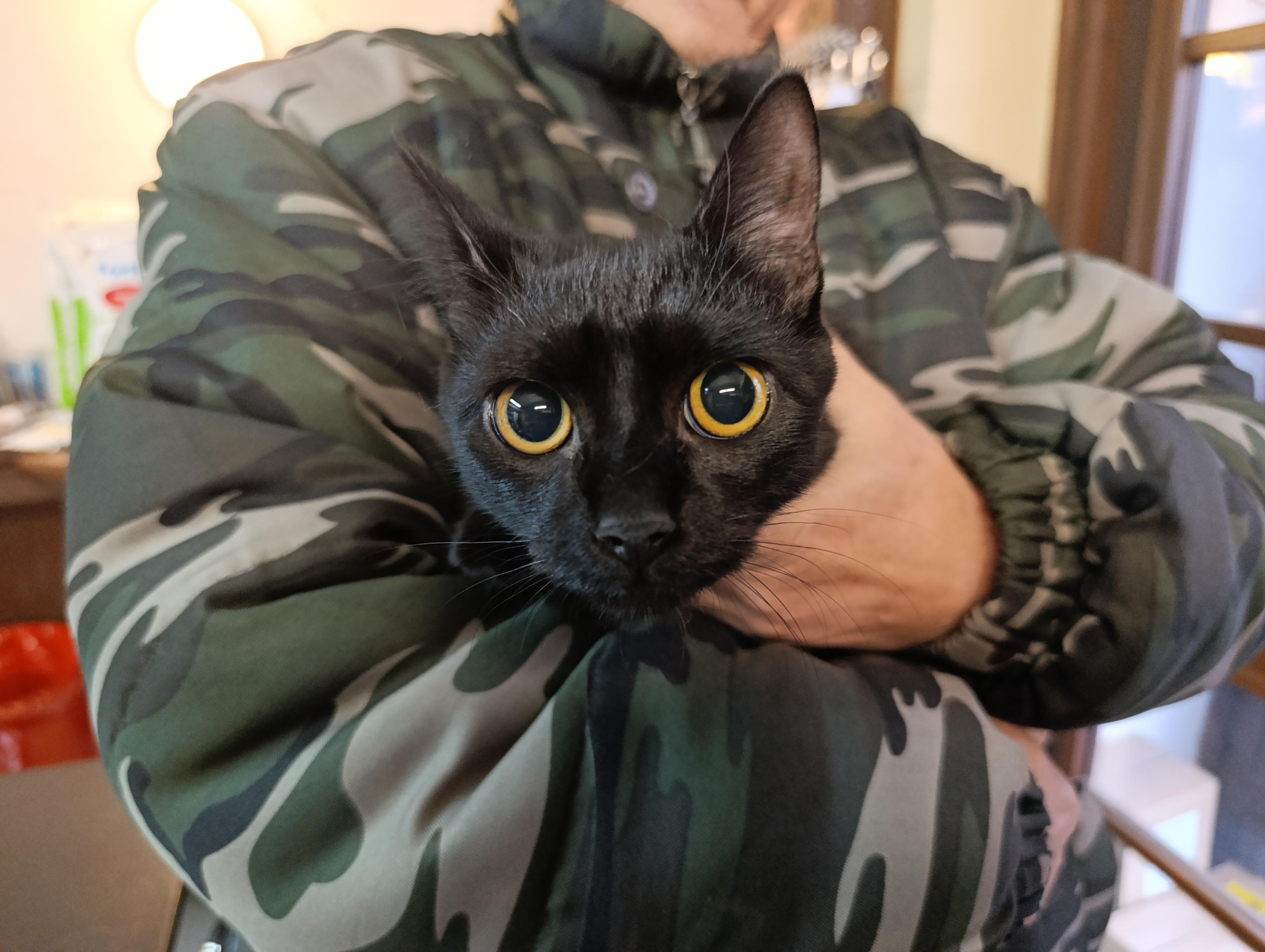 Veterinární ordinace MVDr. Maxim Bojko foto 4