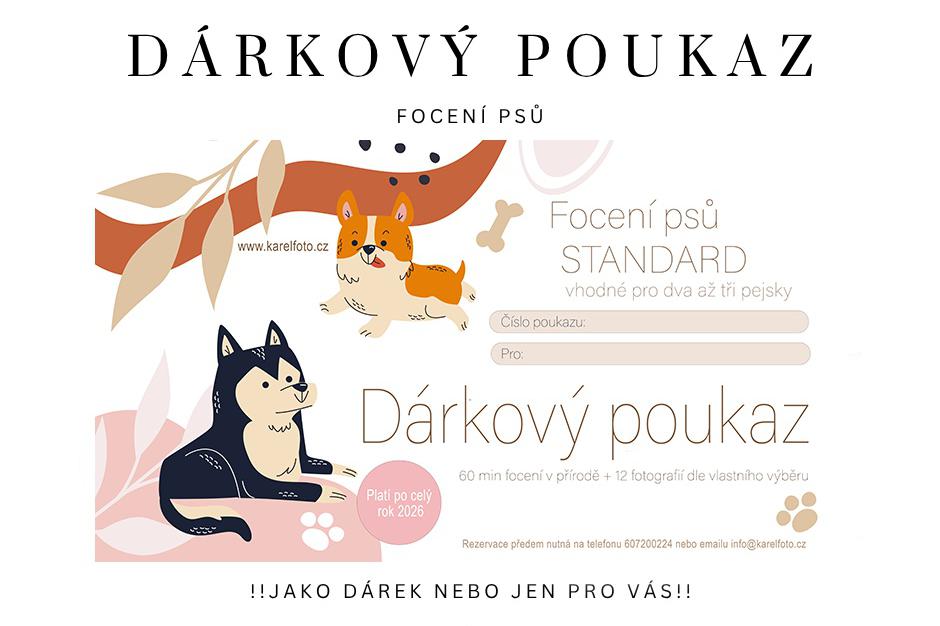 Nabídka dárkových poukazů na focení