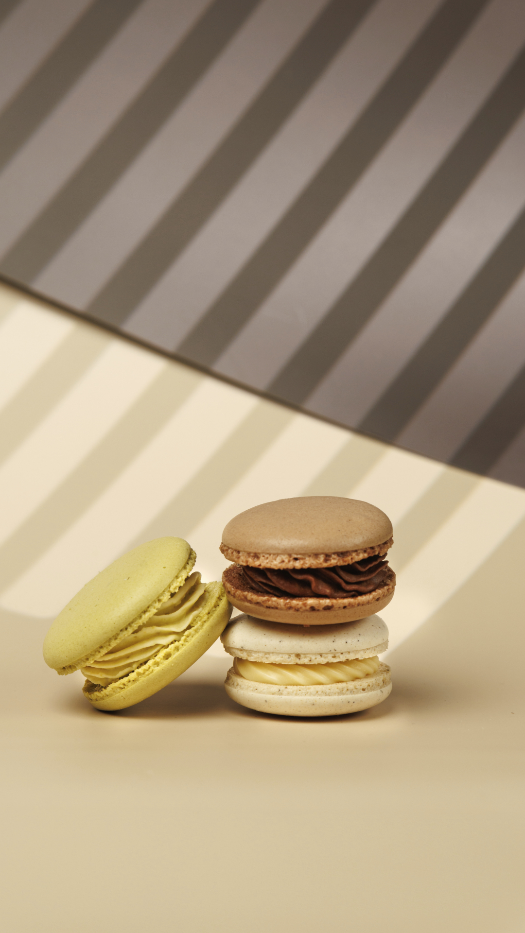 Agentura Žijeme Gastrem s.r.o. foto 4