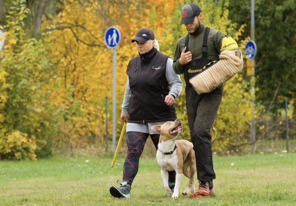 ZKO 438 Karlovy Vary - Stará Role foto 3
