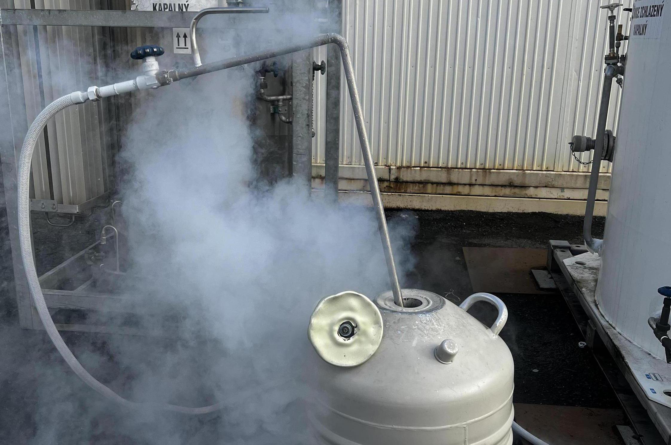 Dana Kodlová - průmyslové plyny