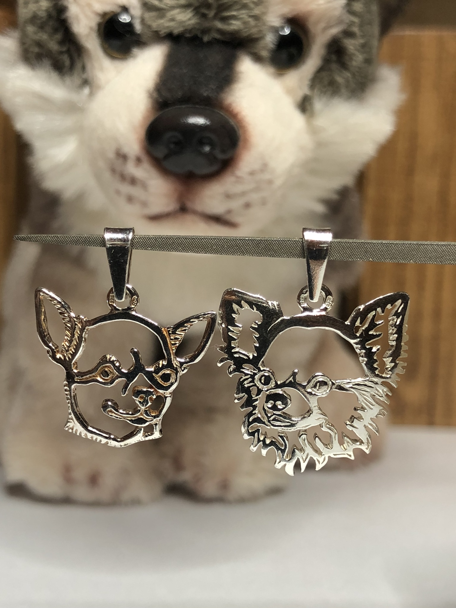 Stříbrné Tlapky | Silver Paws foto 4