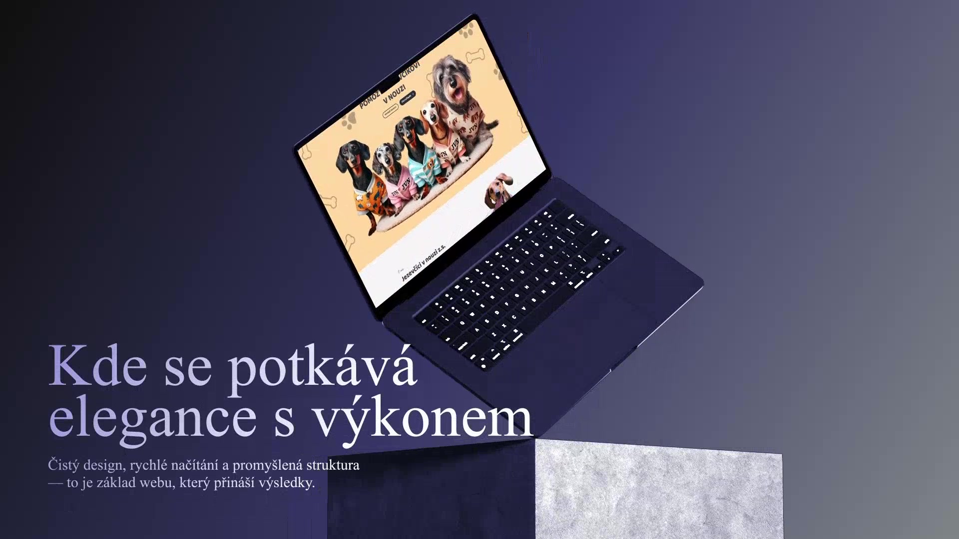 Elegant web foto 2 (náhled videa)