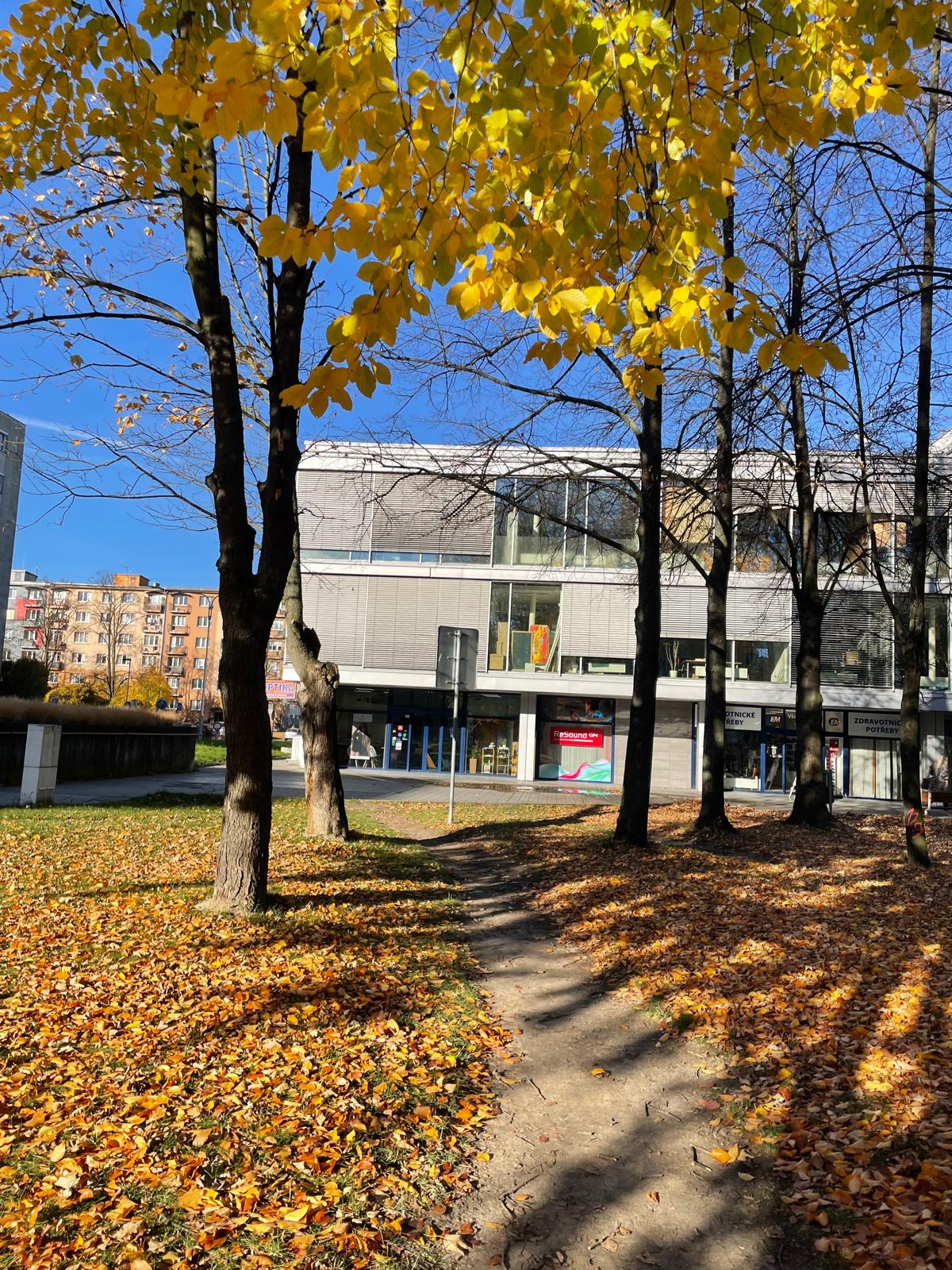 GN Hearing Czech Republic spol. s r.o. foto 2