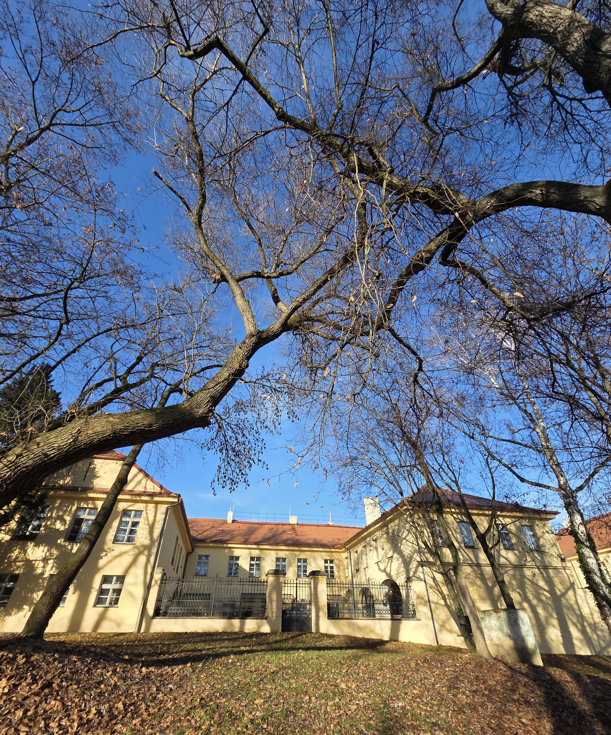 Dům s pečovatelskou službou - Raudnitzův dům foto 2