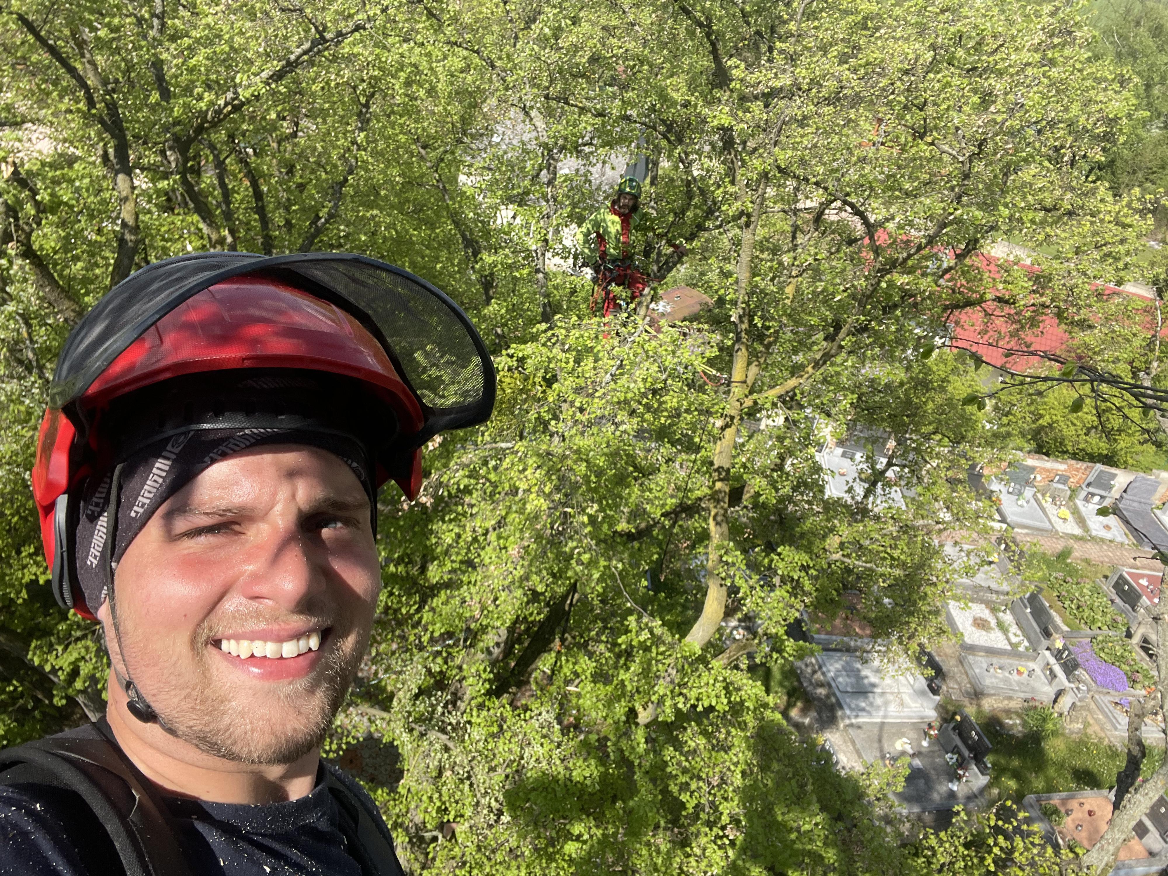 Rizikové kácení Martin Višňovský foto 5