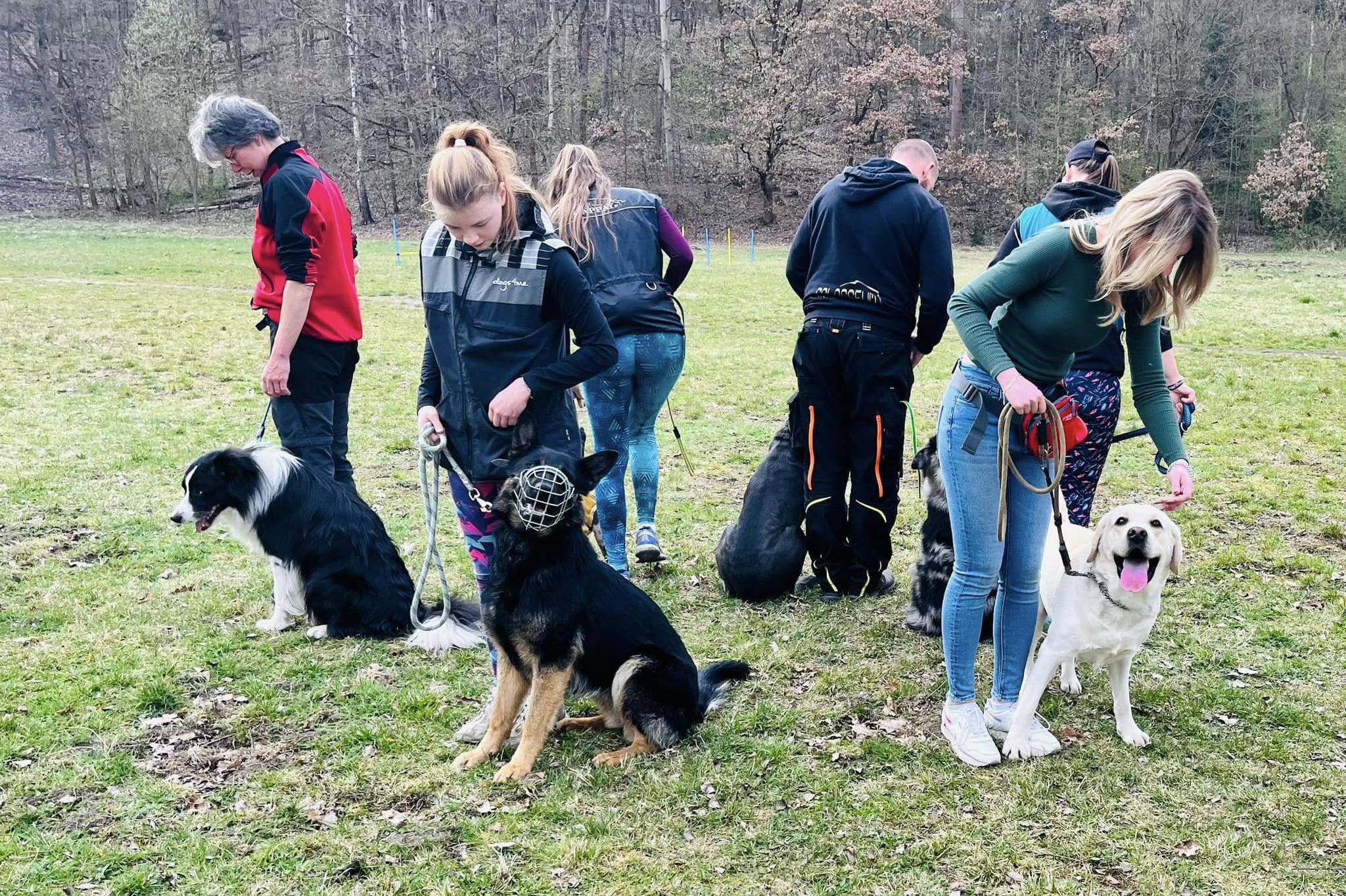 Cvičák pro psy Karlovy Vary - Stará Role