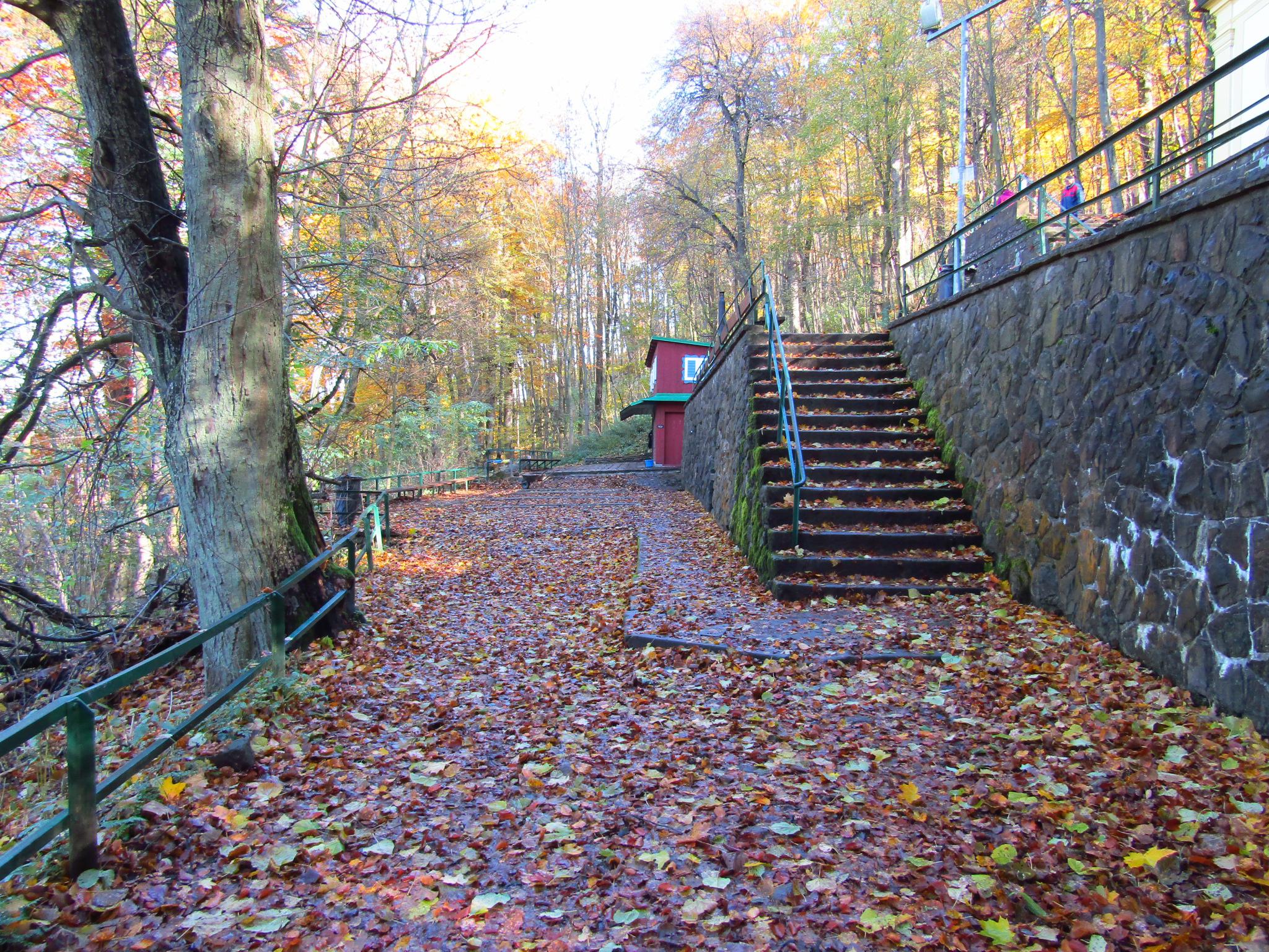 Chaloupka Maruška - Občerstvovna foto 2