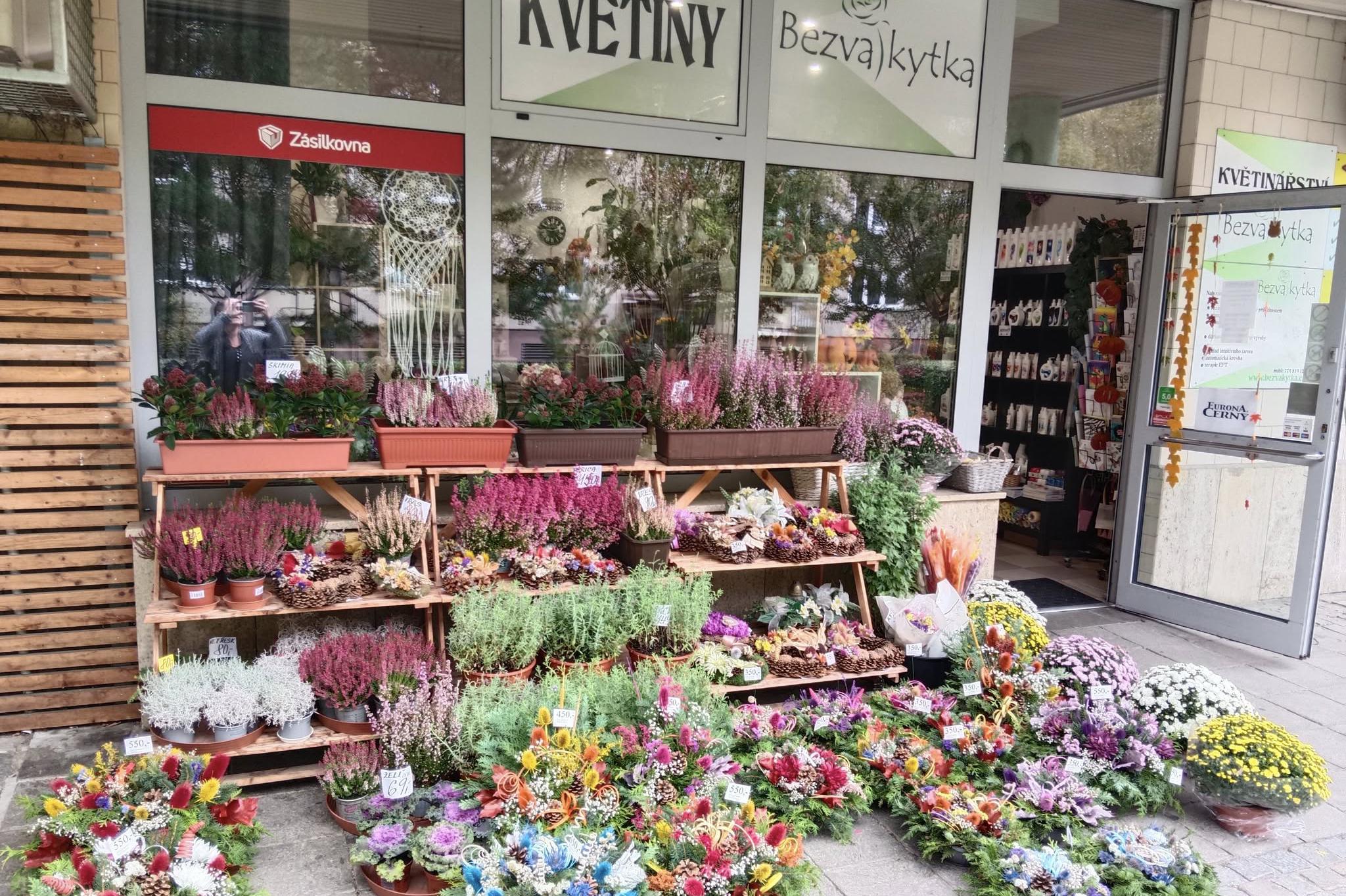 Bezva Kytka - Věra Magdonová