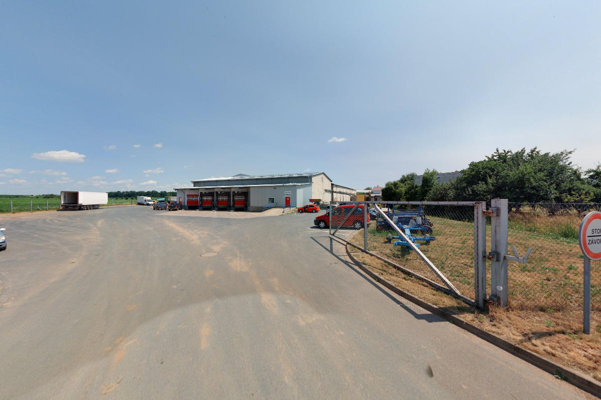 Piletická zelenina foto 2