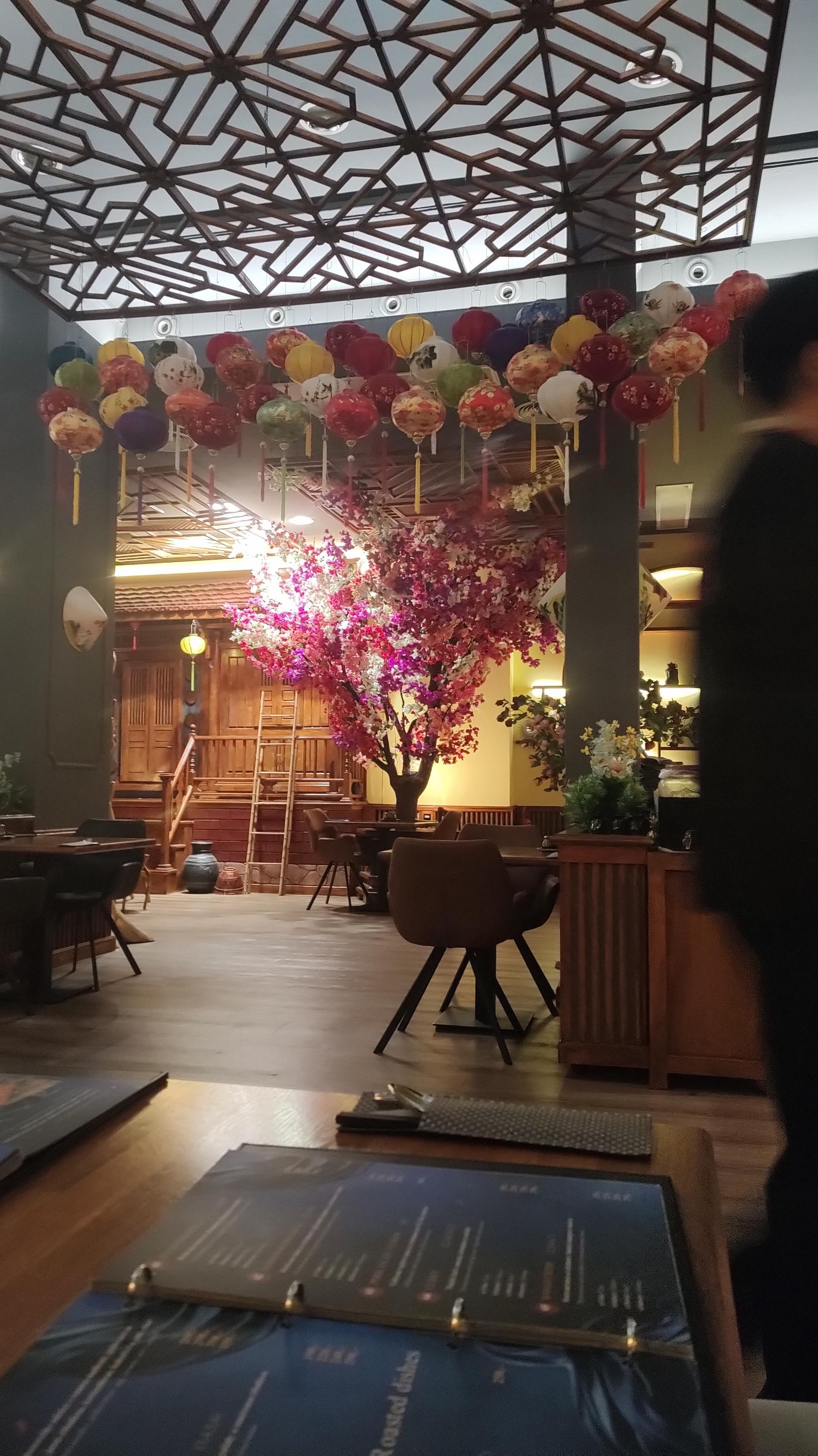 Viet Village Restaurant foto 2