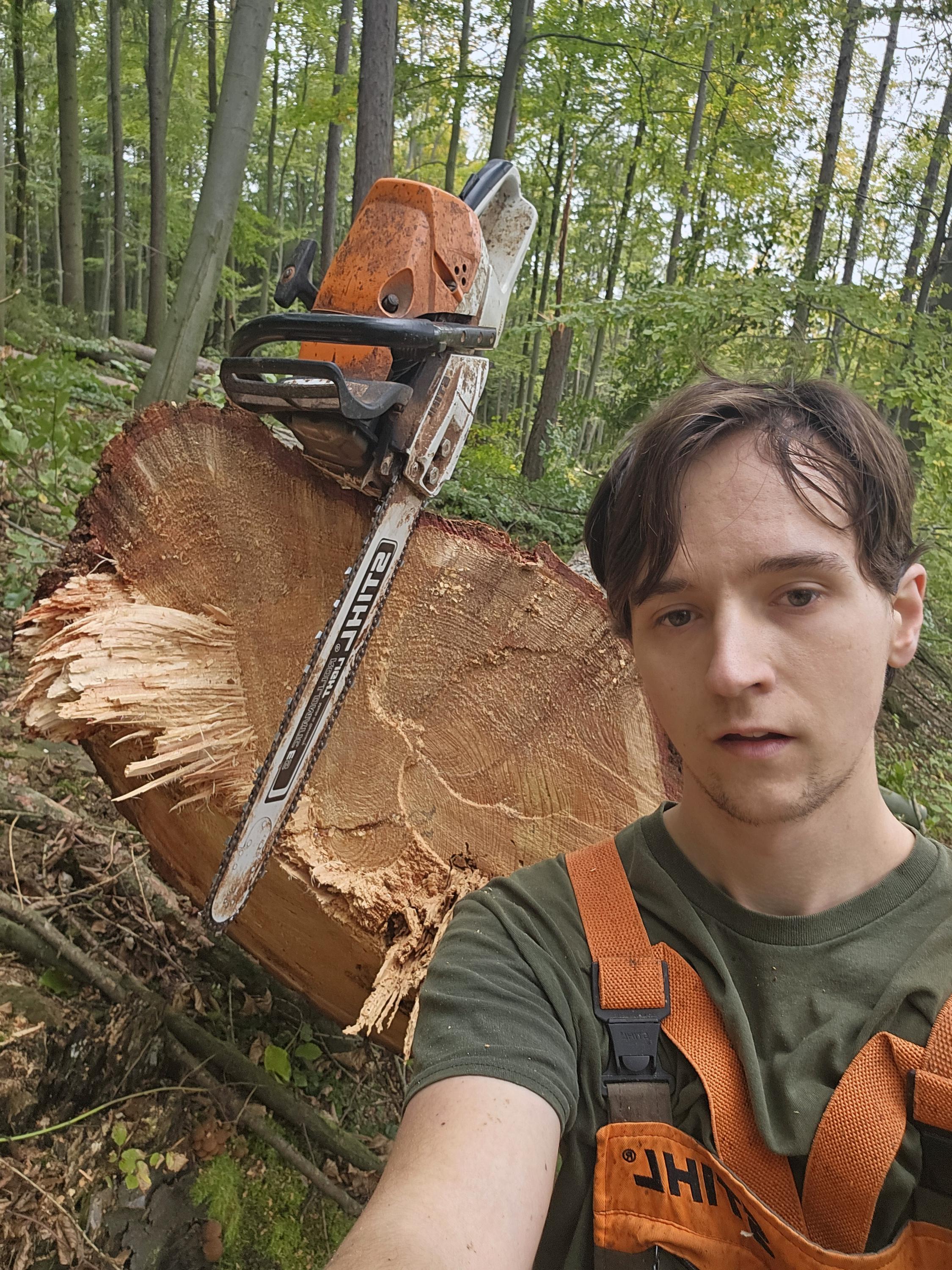 Rizikové kácení a ořez stromů Šimon Lenczyk foto 3