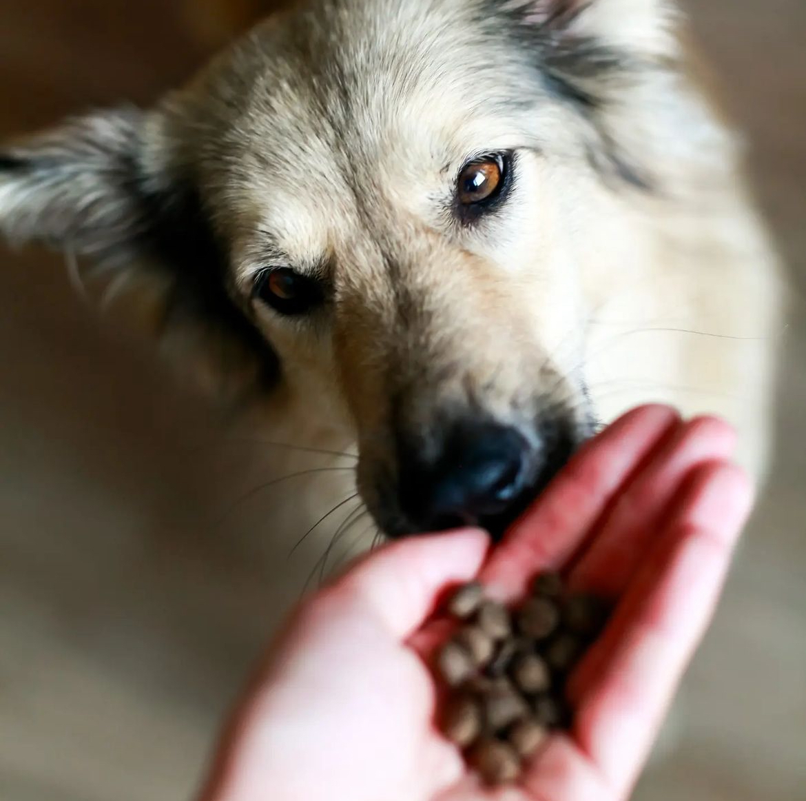 Grafika, fotografie Andy foto 3