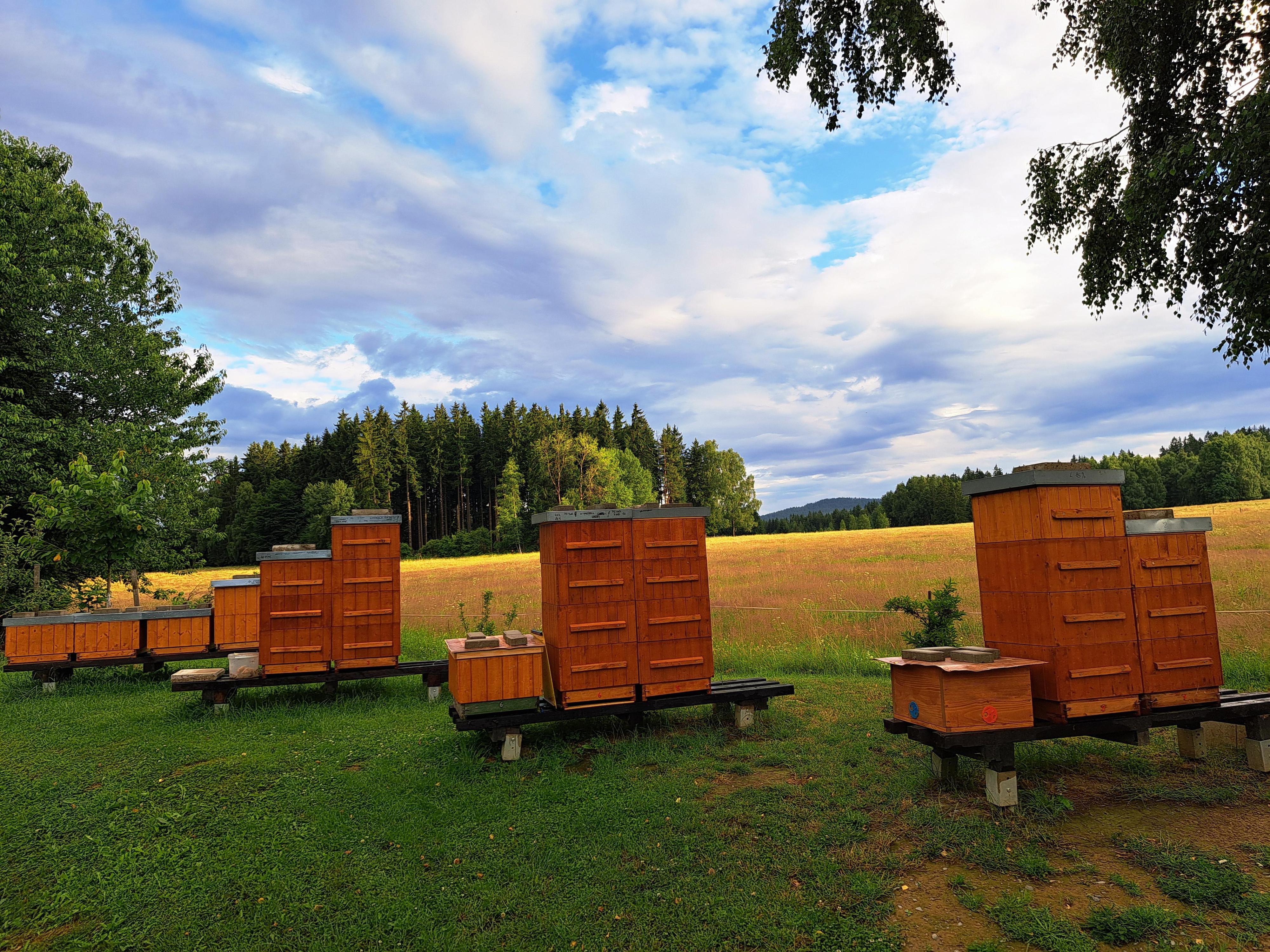 Šumavský med - Václav Jonáš foto 5