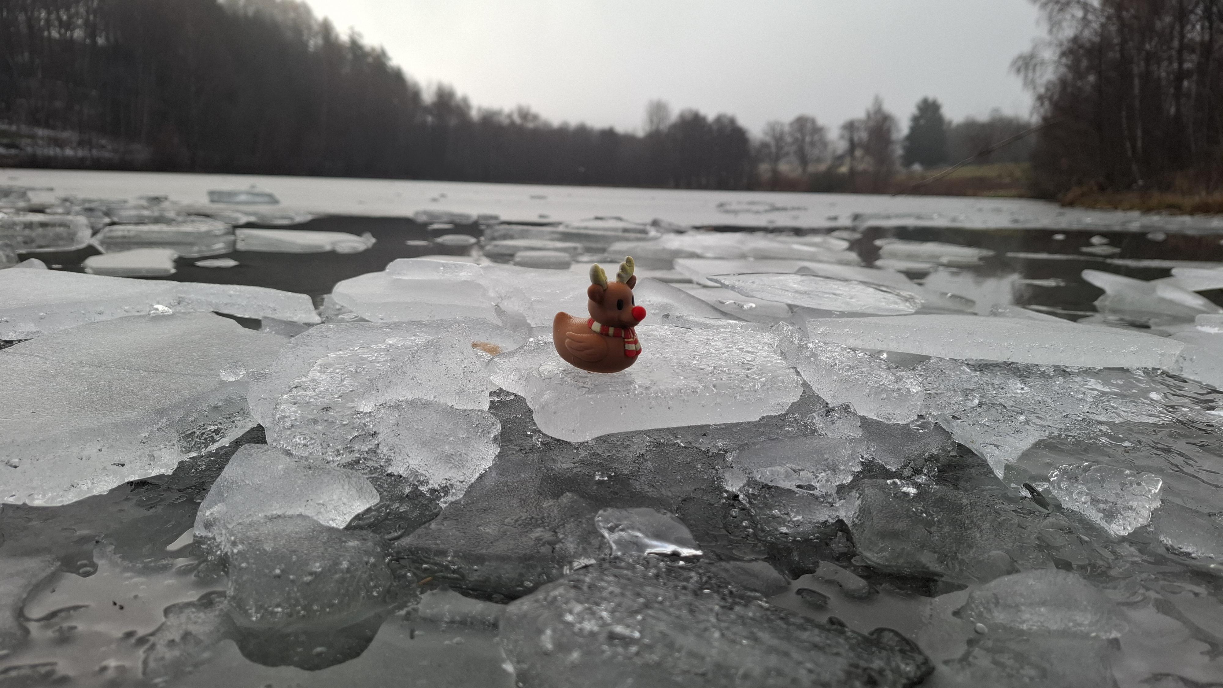Rudolf 3D Print Works foto 6